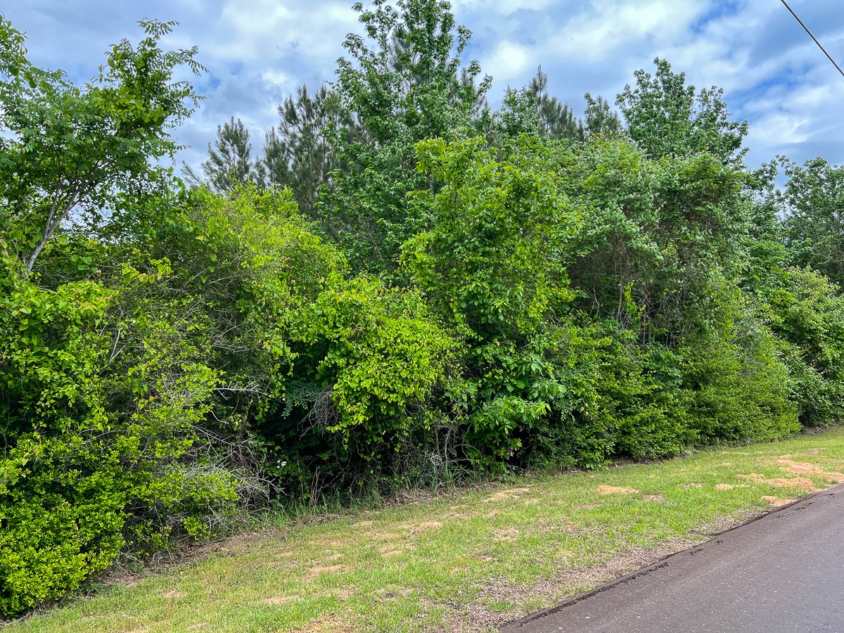 05 Cr 2145 Latexo TX 75835