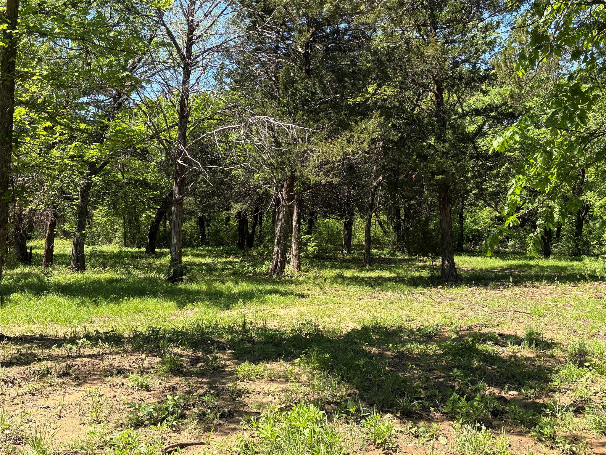Tbd 1-b County Road 167 Road Whitesboro TX 76273