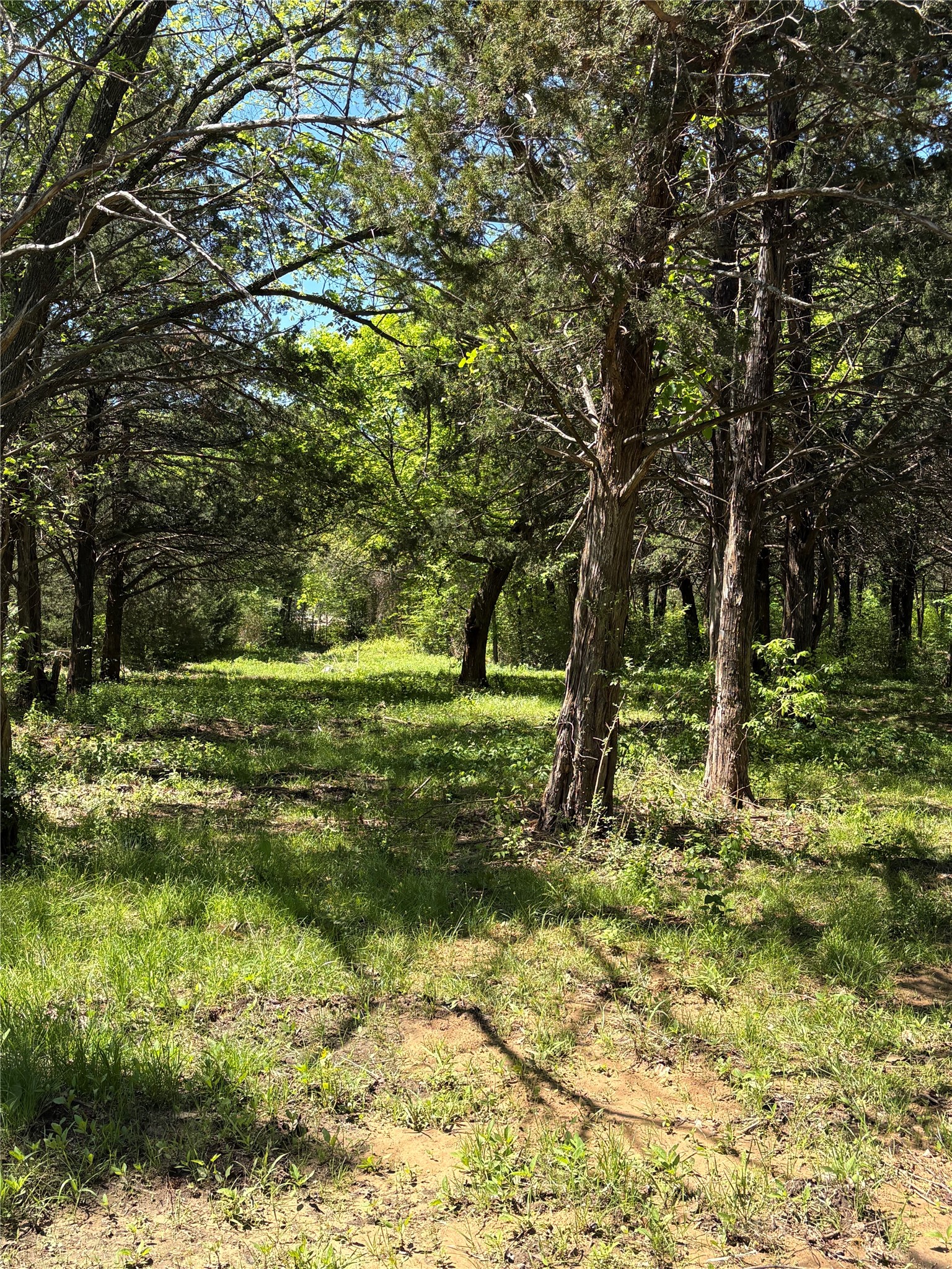 Tbd 1-b County Road 167 Road Whitesboro TX 76273