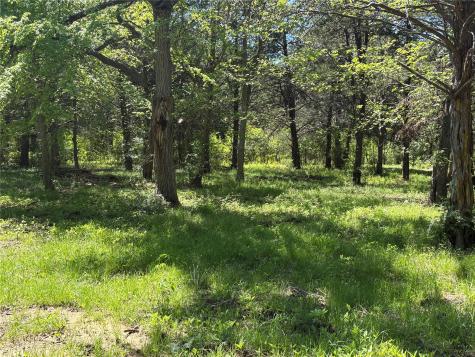 Tbd 1-b County Road 167 Road Whitesboro TX 76273