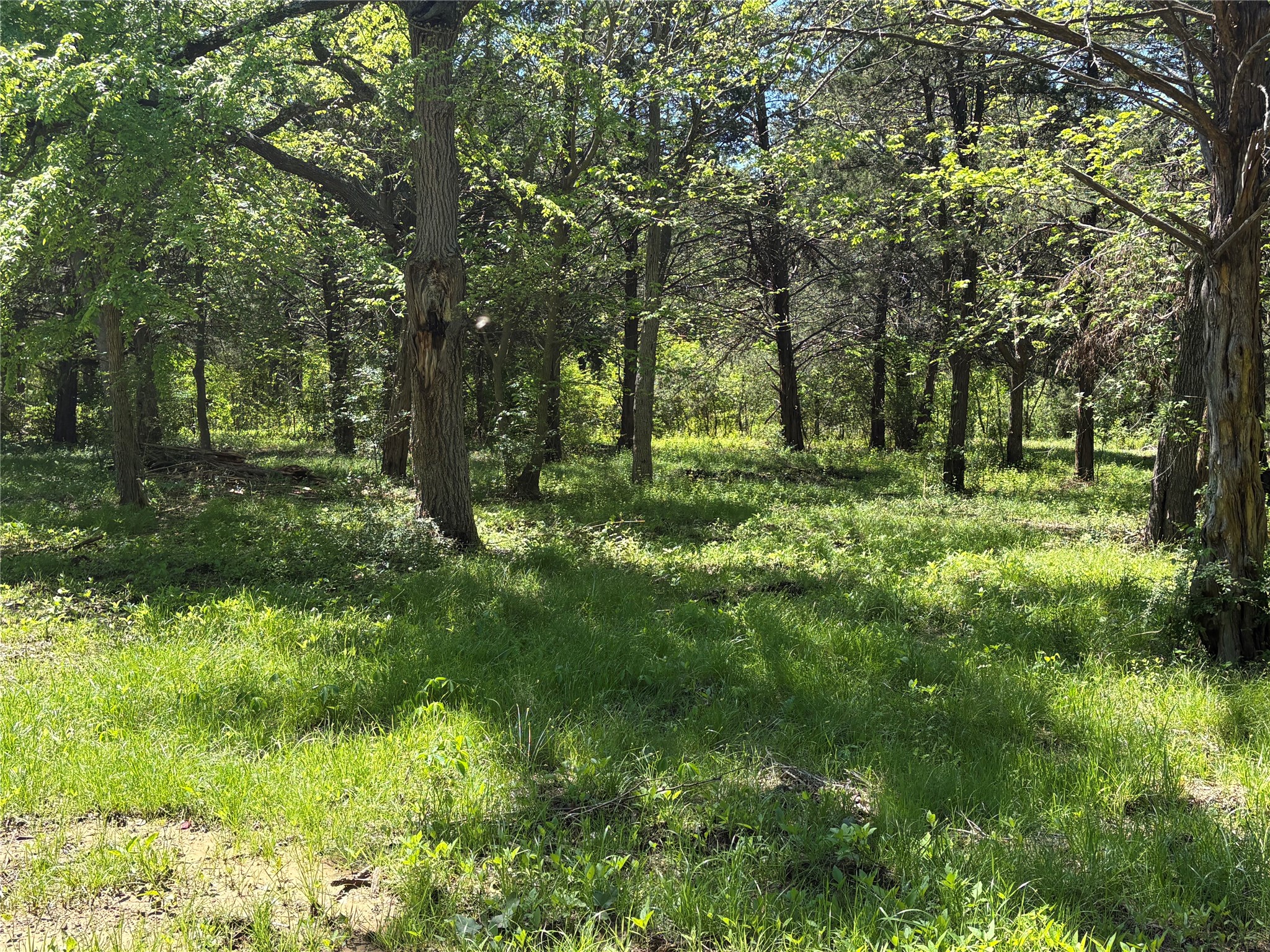Tbd 1-b County Road 167 Road Whitesboro TX 76273