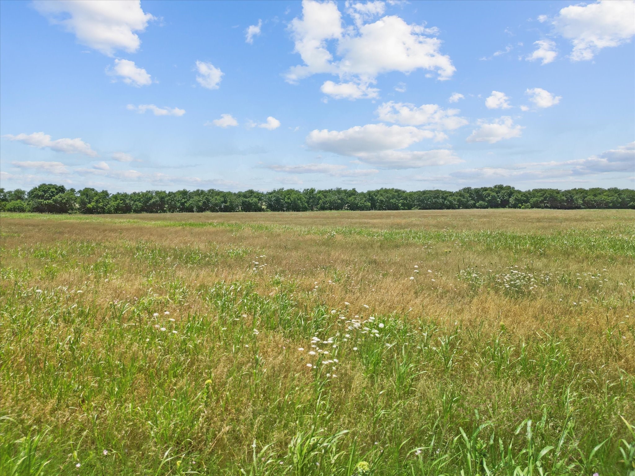 6512 County Road 1050 Celeste TX 75423