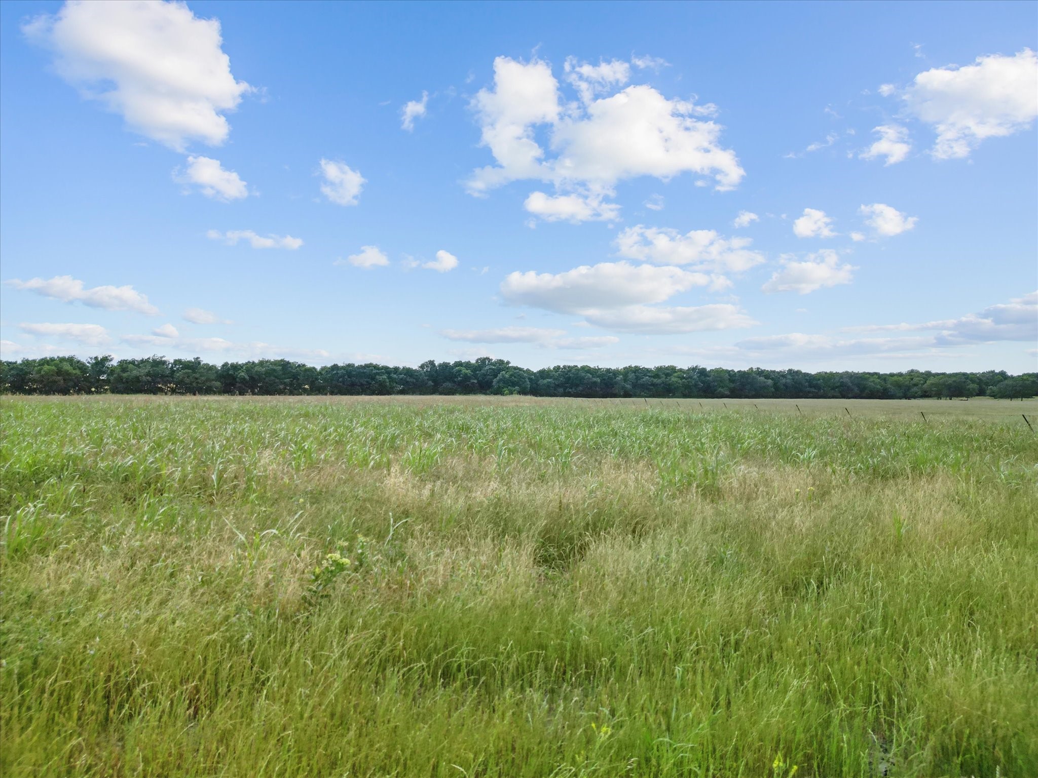 6512 County Road 1050 Celeste TX 75423