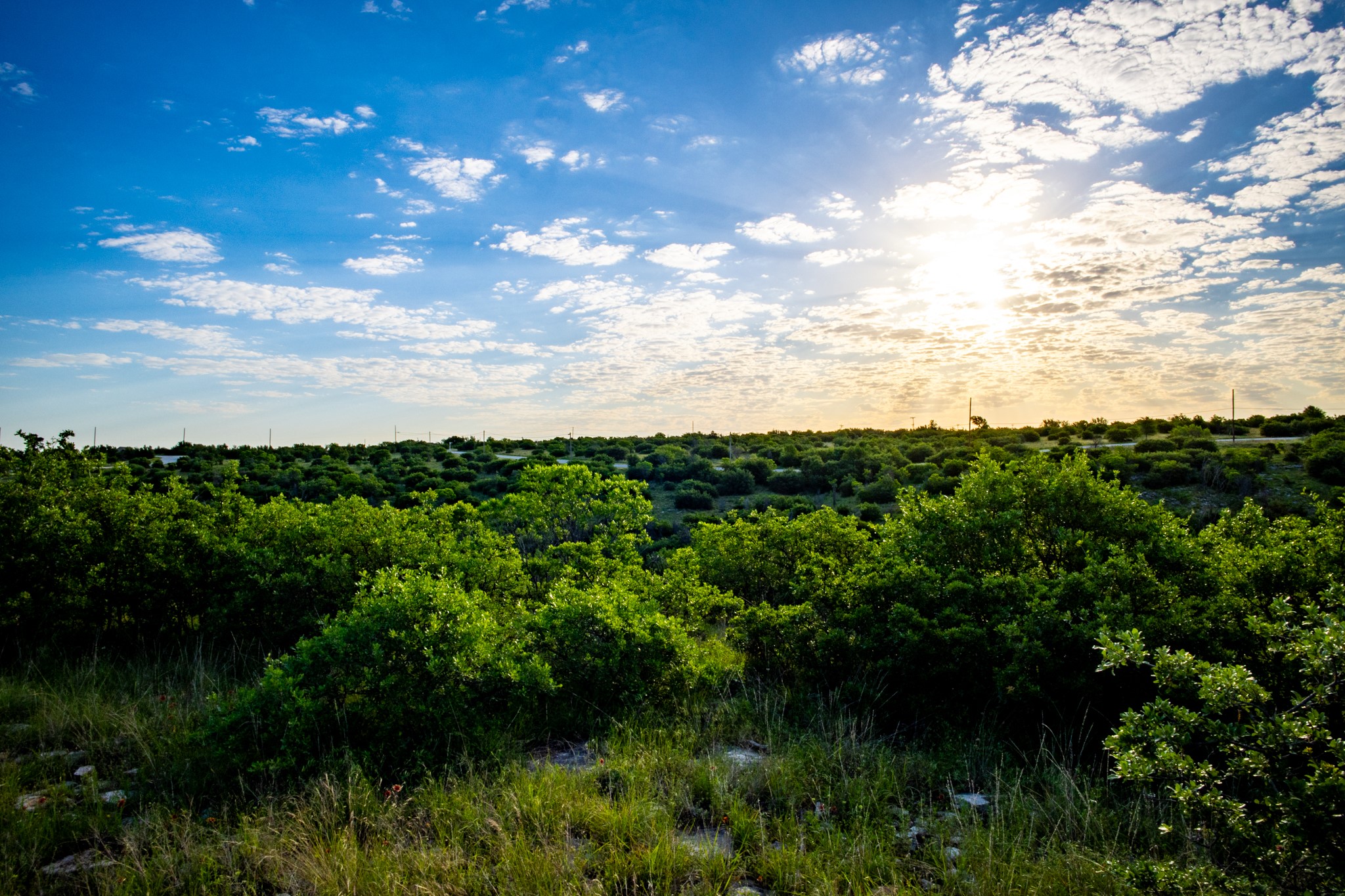 Lot 42 Royal Aberdeen Court Possum Kingdom Lake TX 76449
