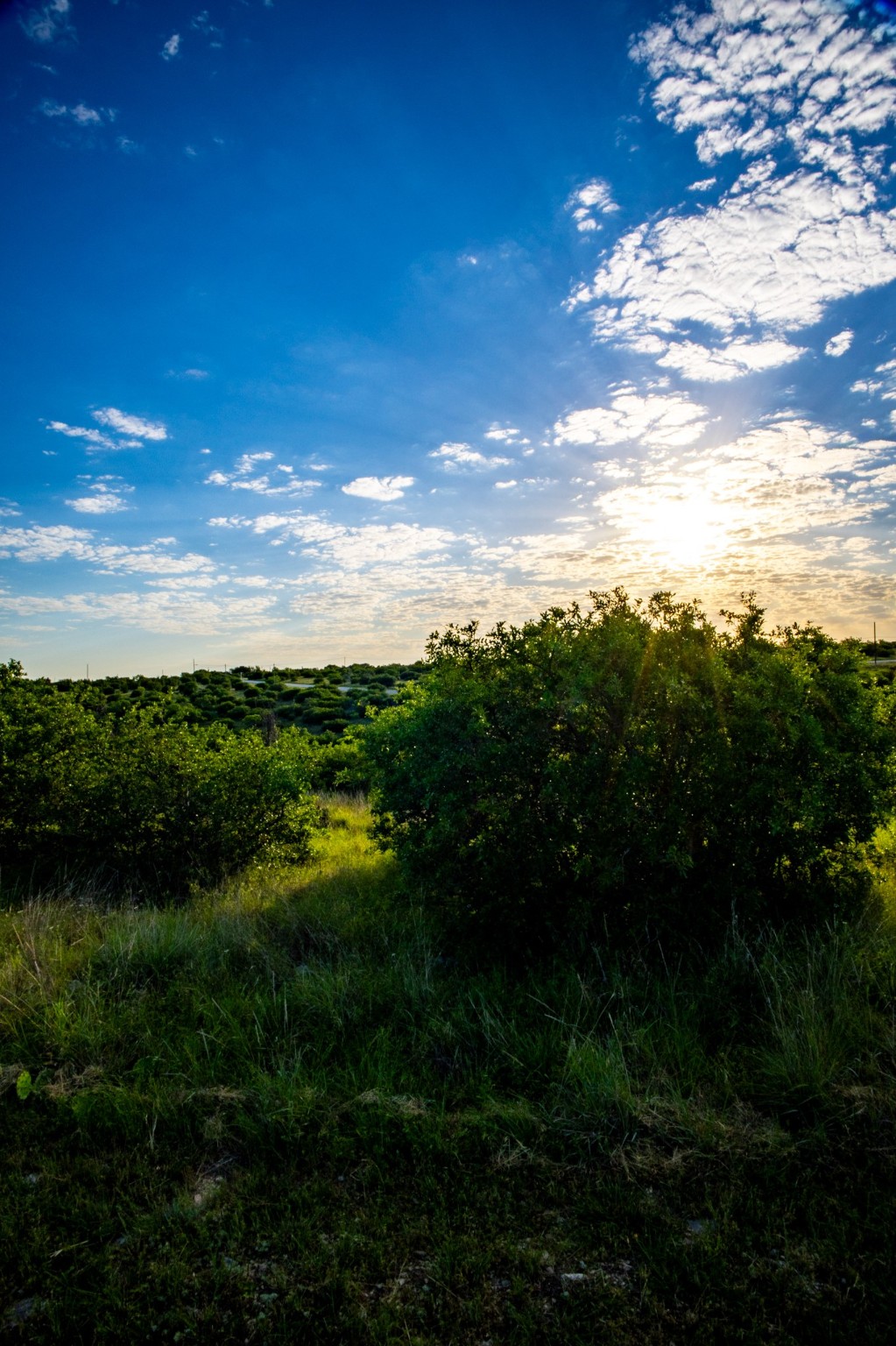 Lot 42 Royal Aberdeen Court Possum Kingdom Lake TX 76449