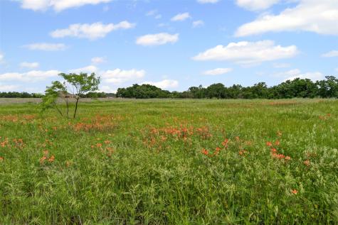 3012 Haylee Drive Granbury TX 76048