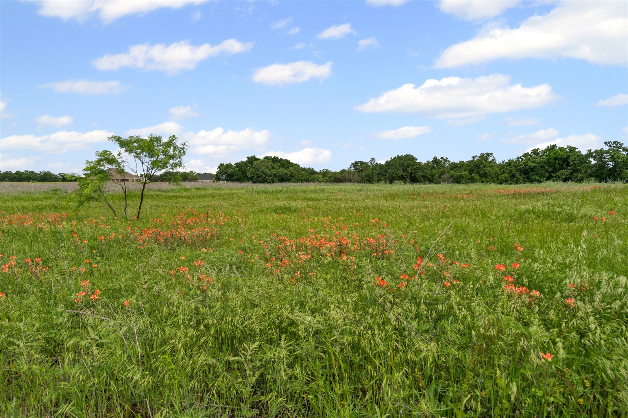 3012 Haylee Drive Granbury TX 76048