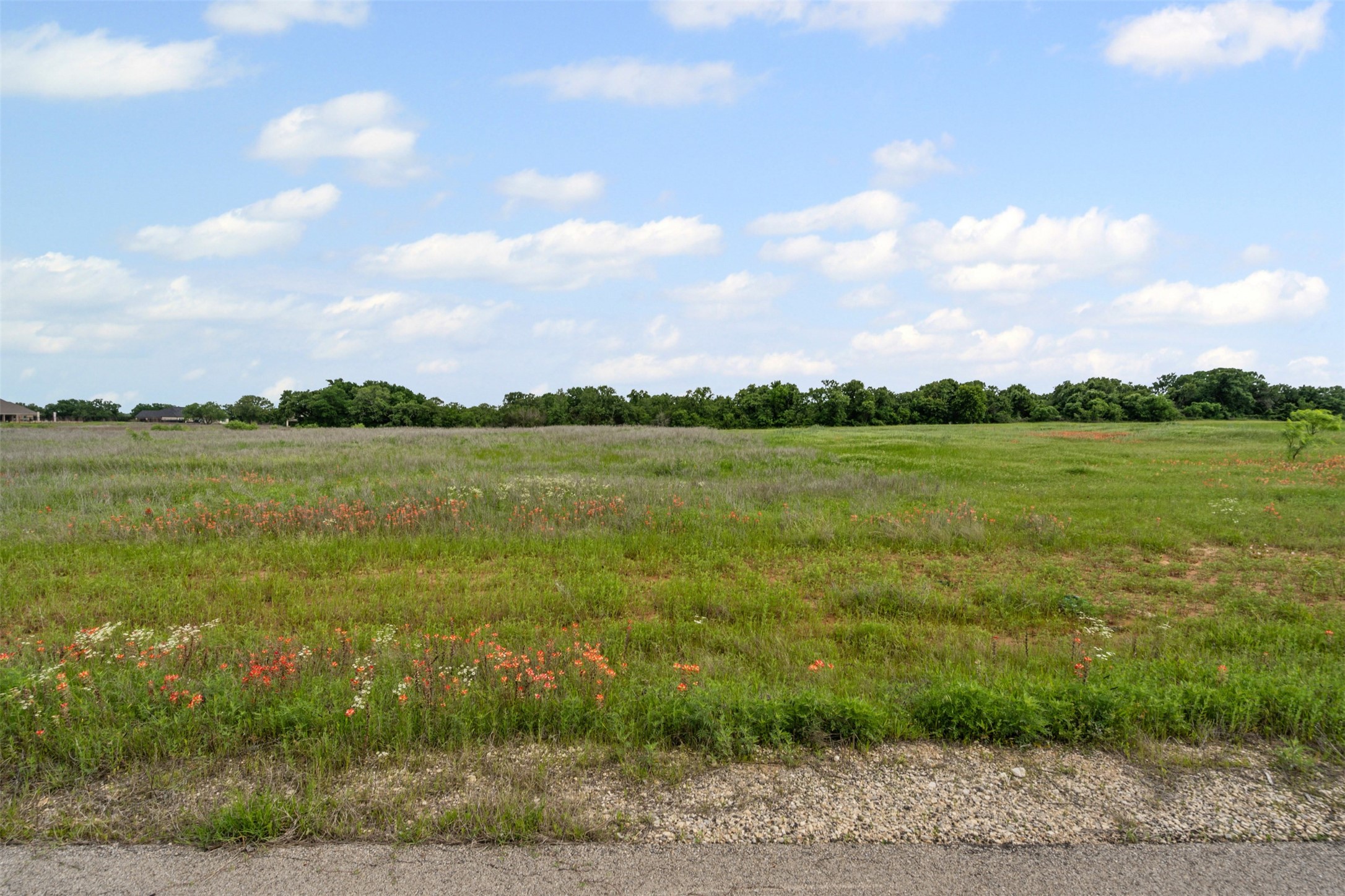 3012 Haylee Drive Granbury TX 76048