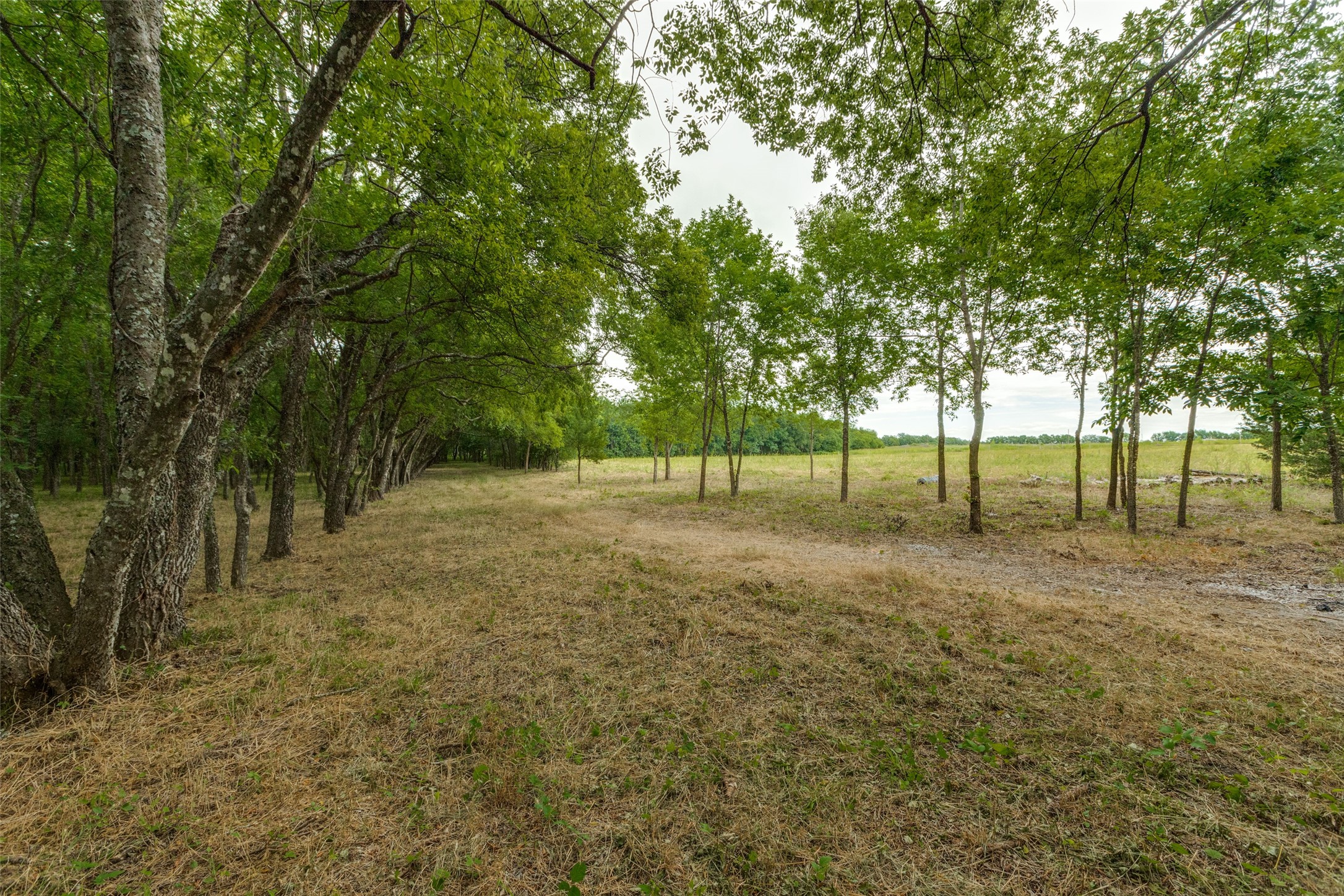 3805 County Road 3805 Wolfe City TX 75496