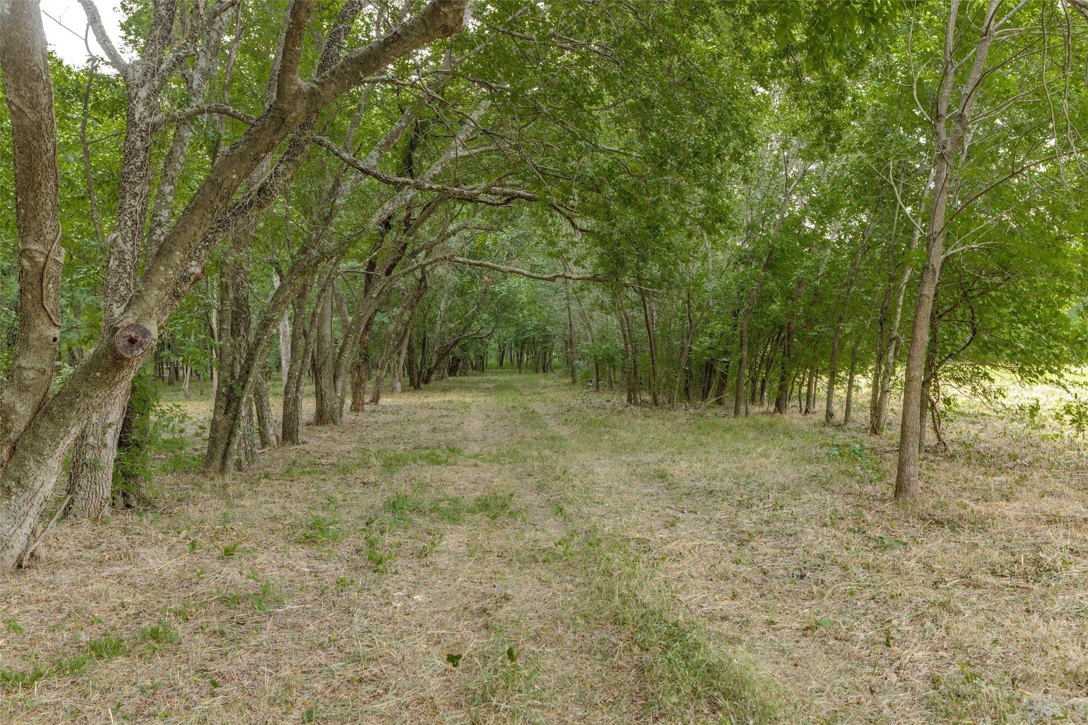 3805 County Road 3805 Wolfe City TX 75496