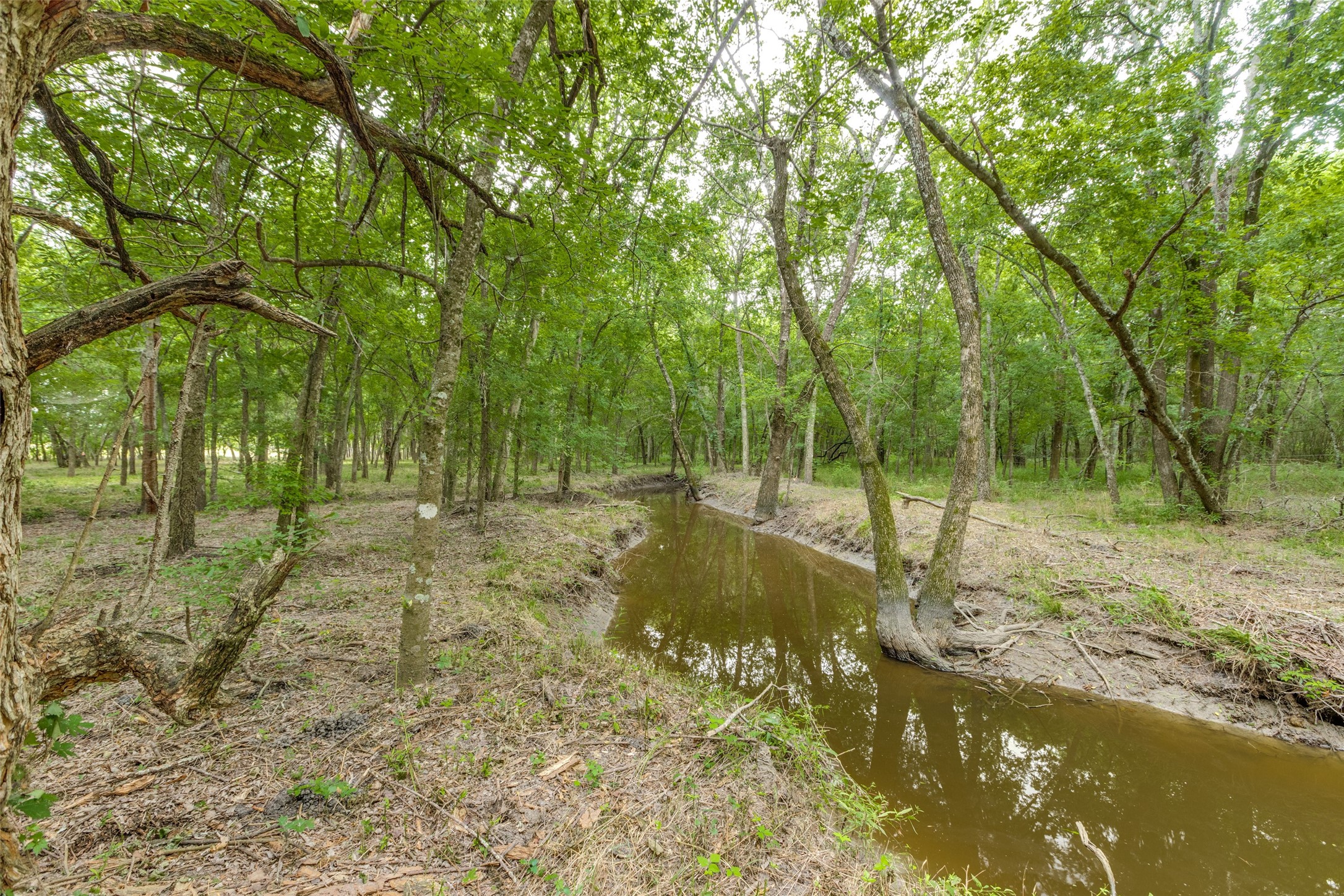3805 County Road 3805 Wolfe City TX 75496