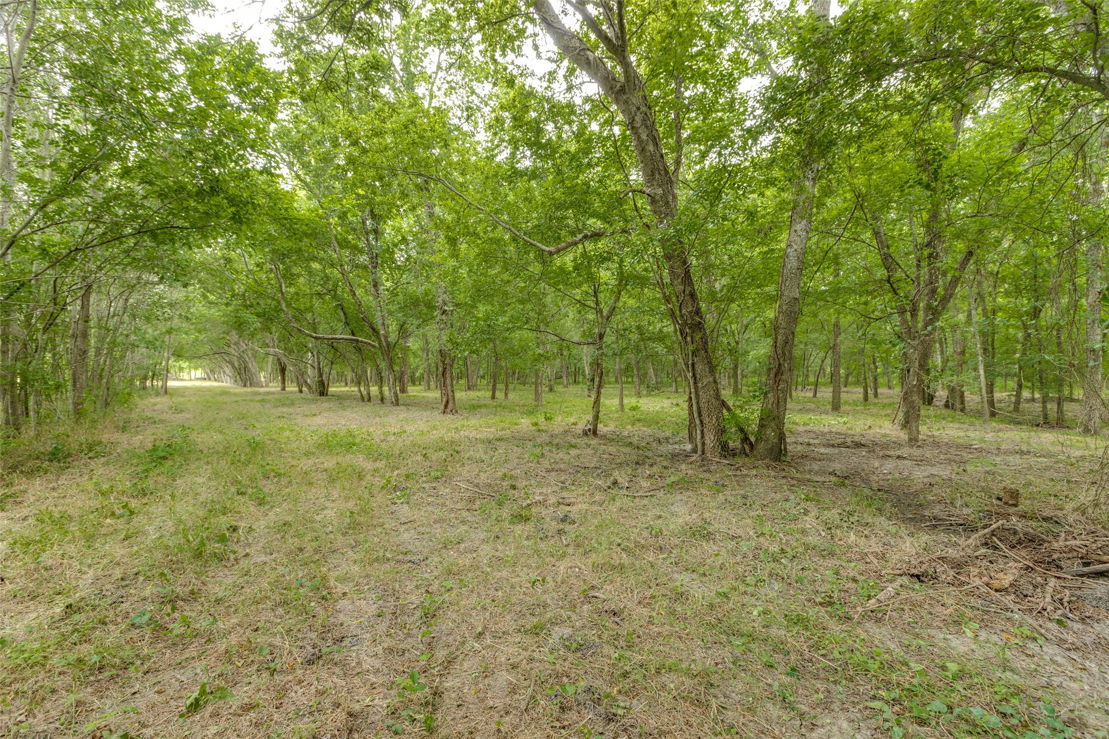 3805 County Road 3805 Wolfe City TX 75496