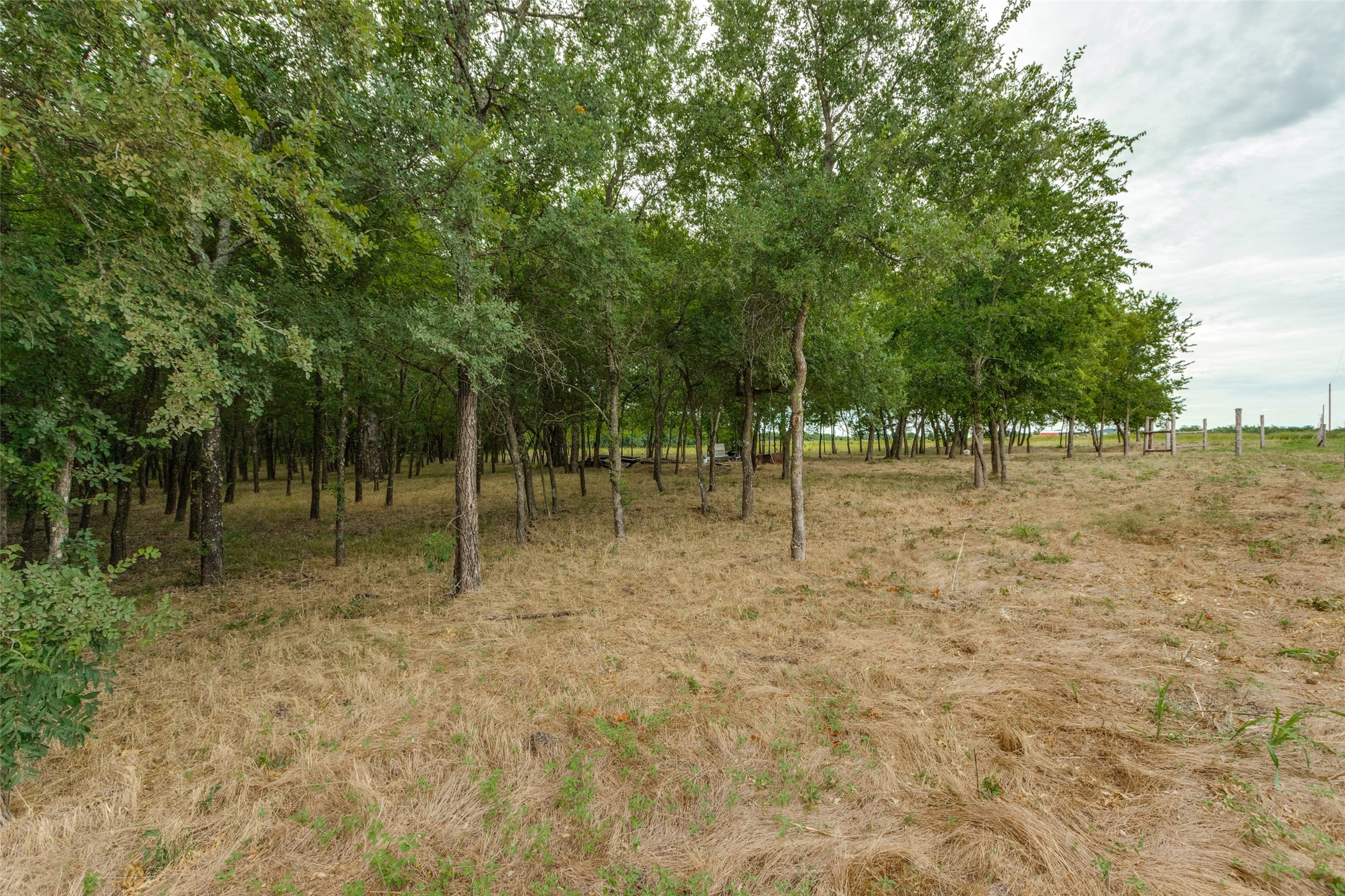 3805 County Road 3805 Wolfe City TX 75496