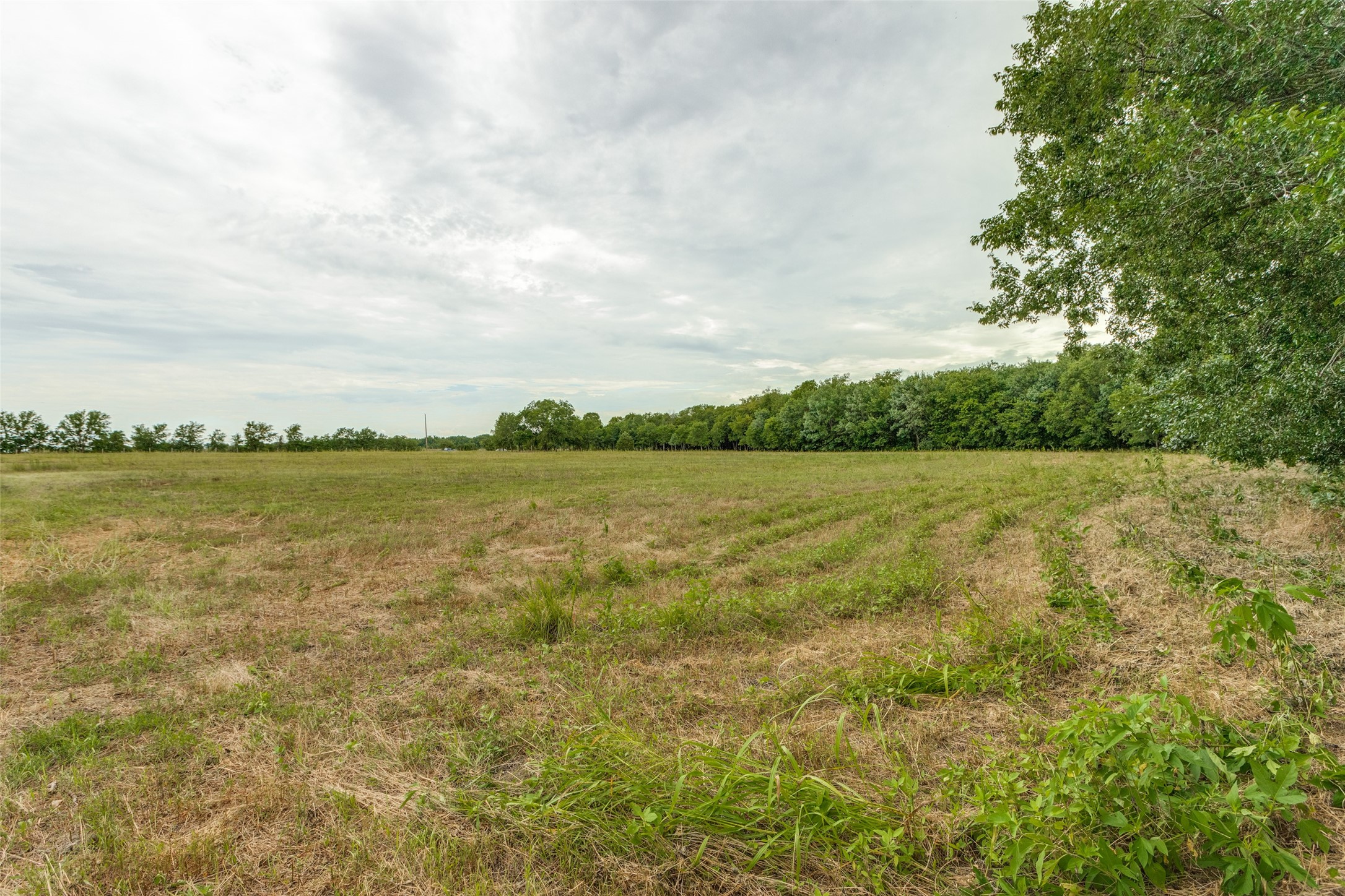 3805 County Road 3805 Wolfe City TX 75496
