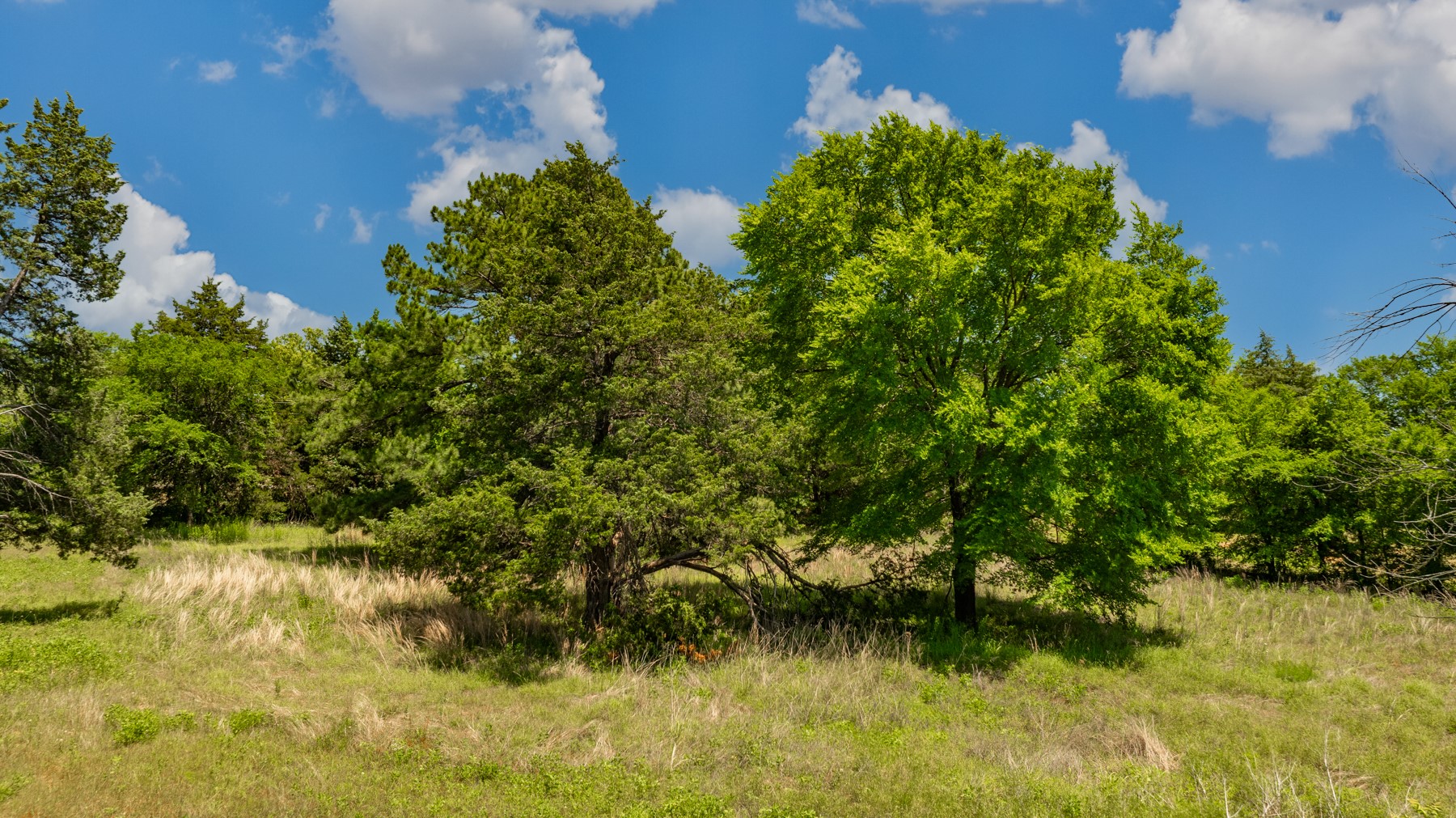 8646 S Highway 82 Gainesville TX 76240