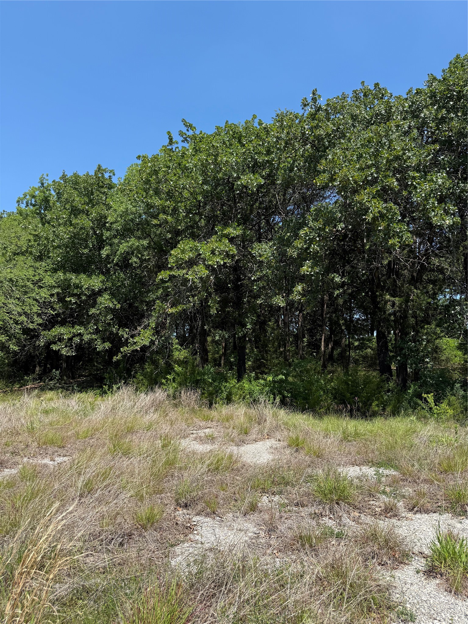 8646 S Highway 82 Gainesville TX 76240
