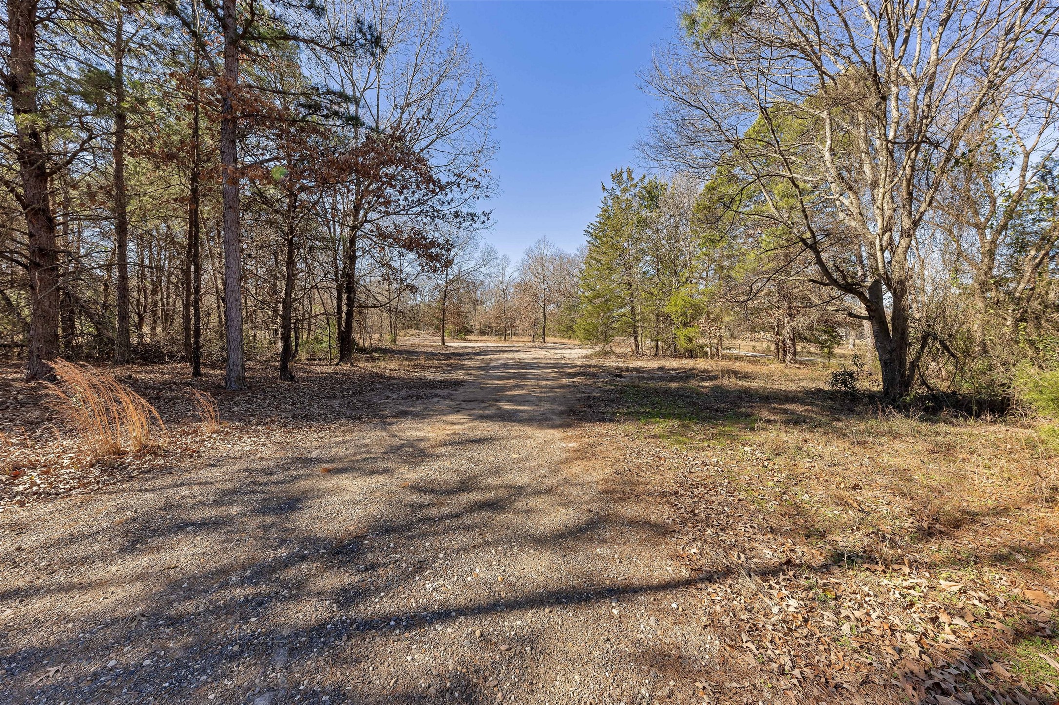 1884 SE County Road 4350 Scroggins TX 75480