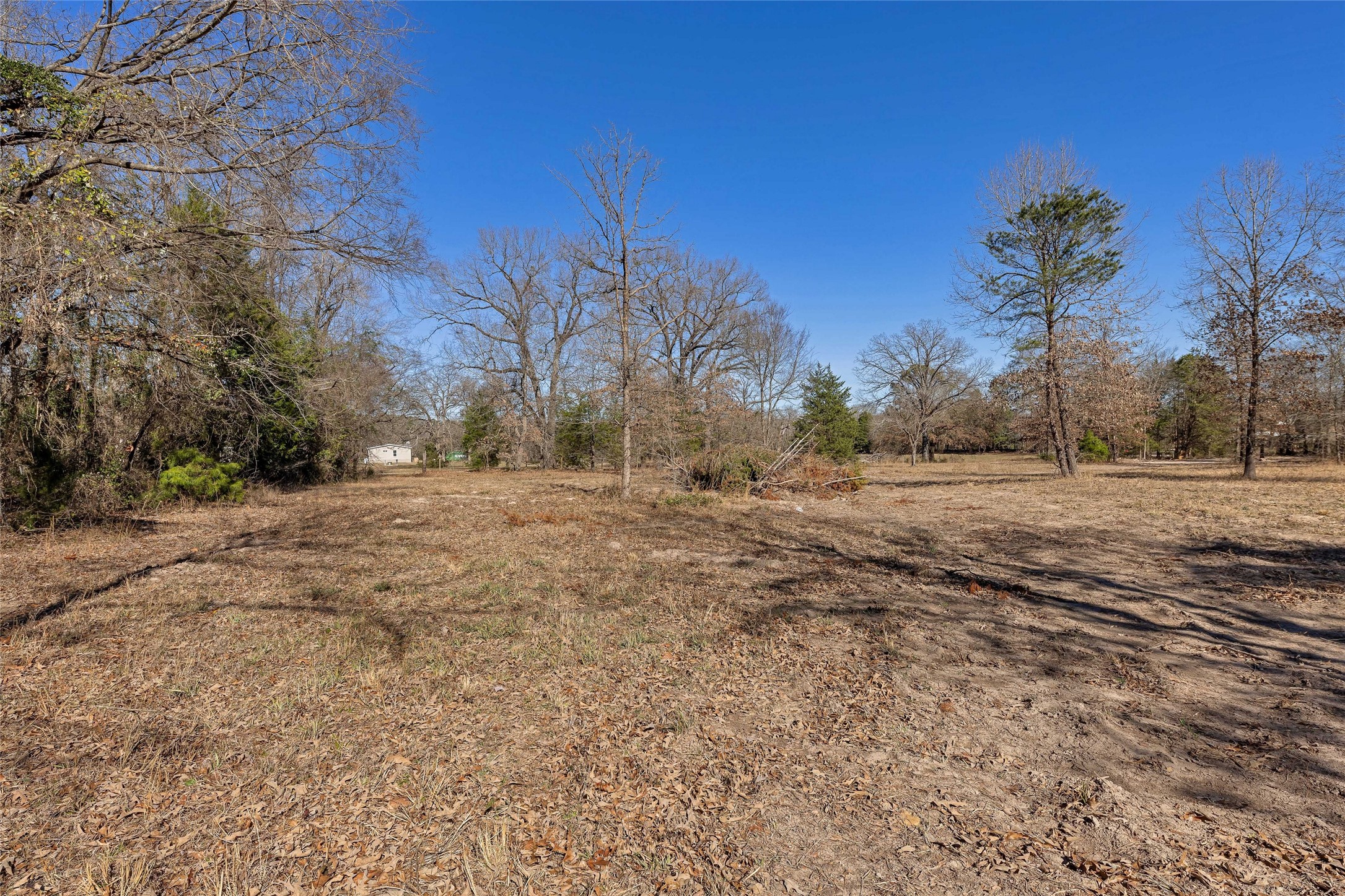 1884 SE County Road 4350 Scroggins TX 75480