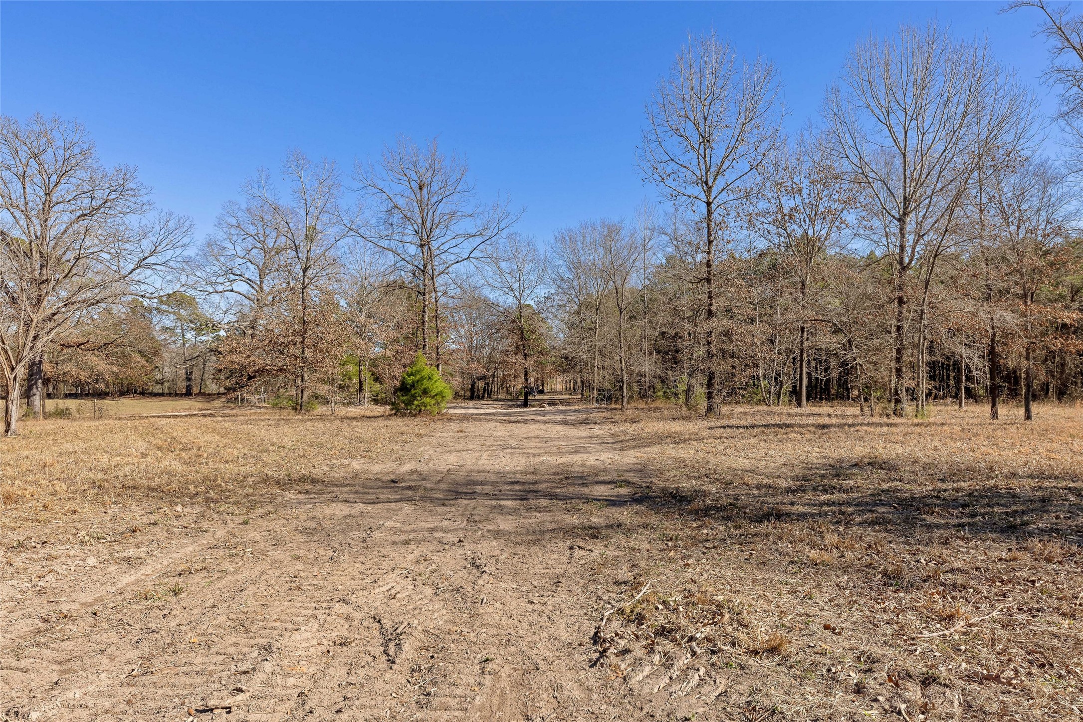 1884 SE County Road 4350 Scroggins TX 75480