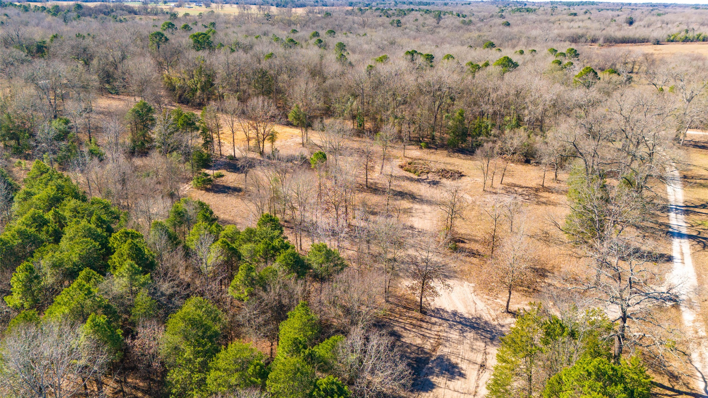 1884 SE County Road 4350 Scroggins TX 75480