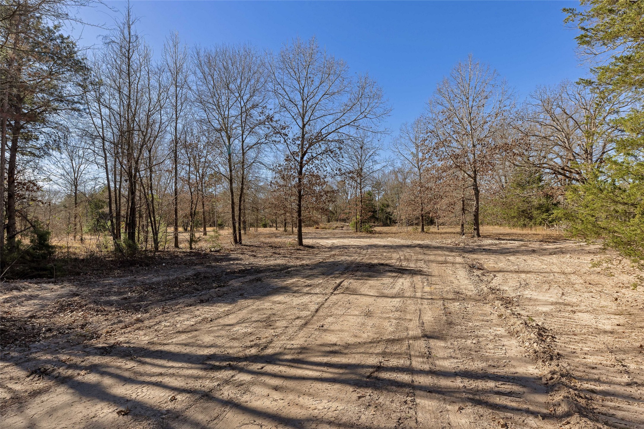 1884 SE County Road 4350 Scroggins TX 75480