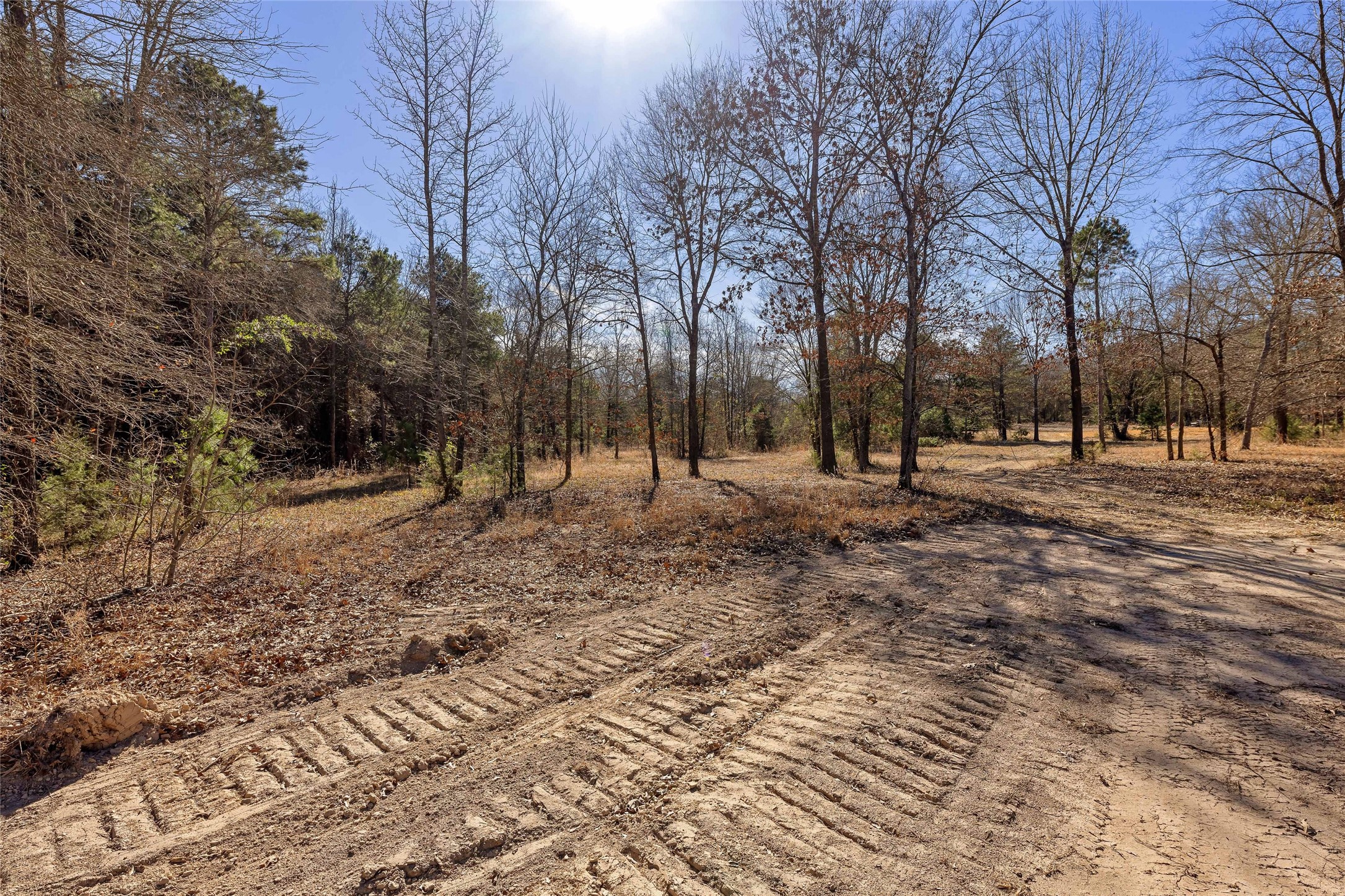 1884 SE County Road 4350 Scroggins TX 75480