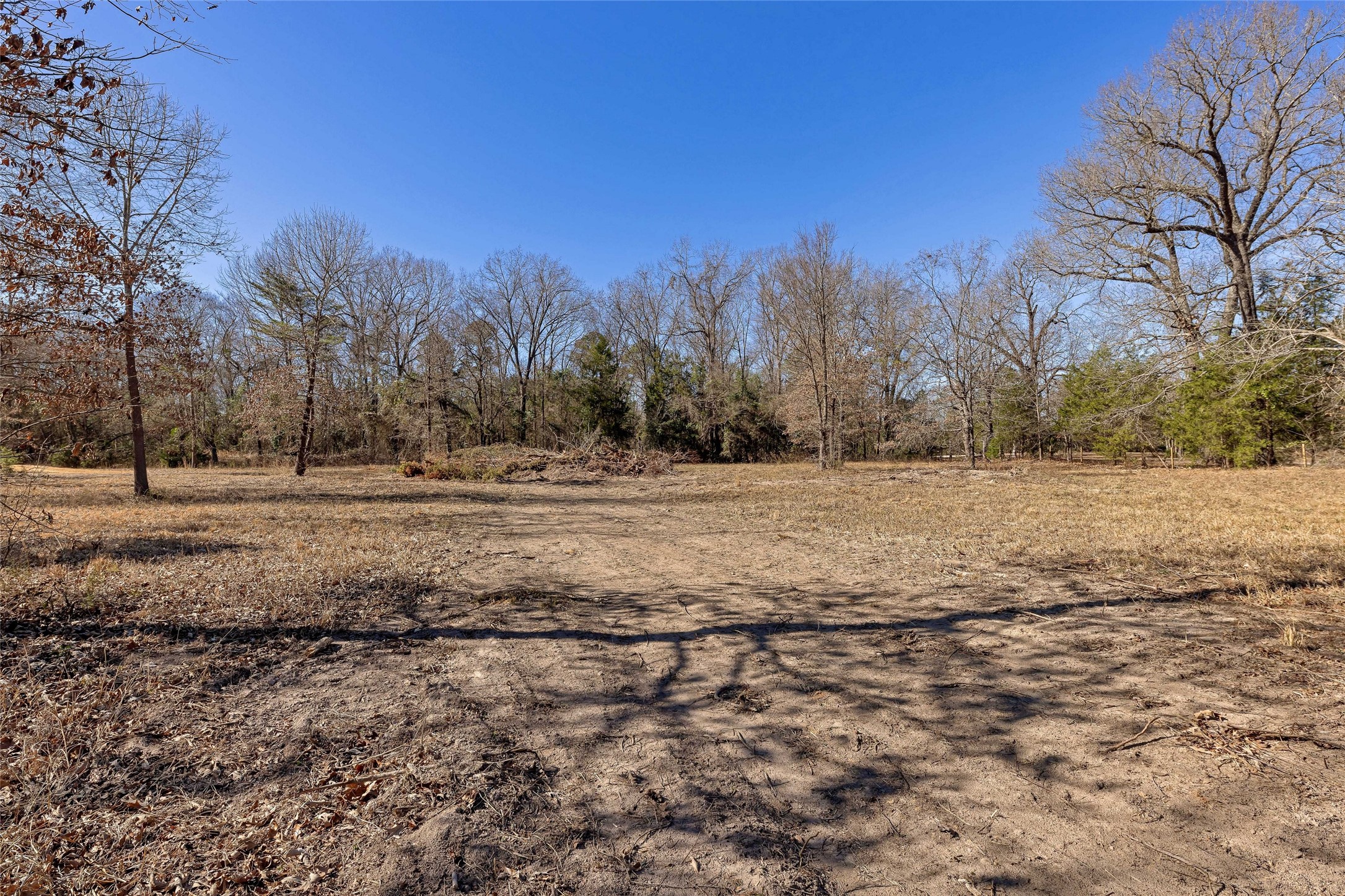 1884 SE County Road 4350 Scroggins TX 75480