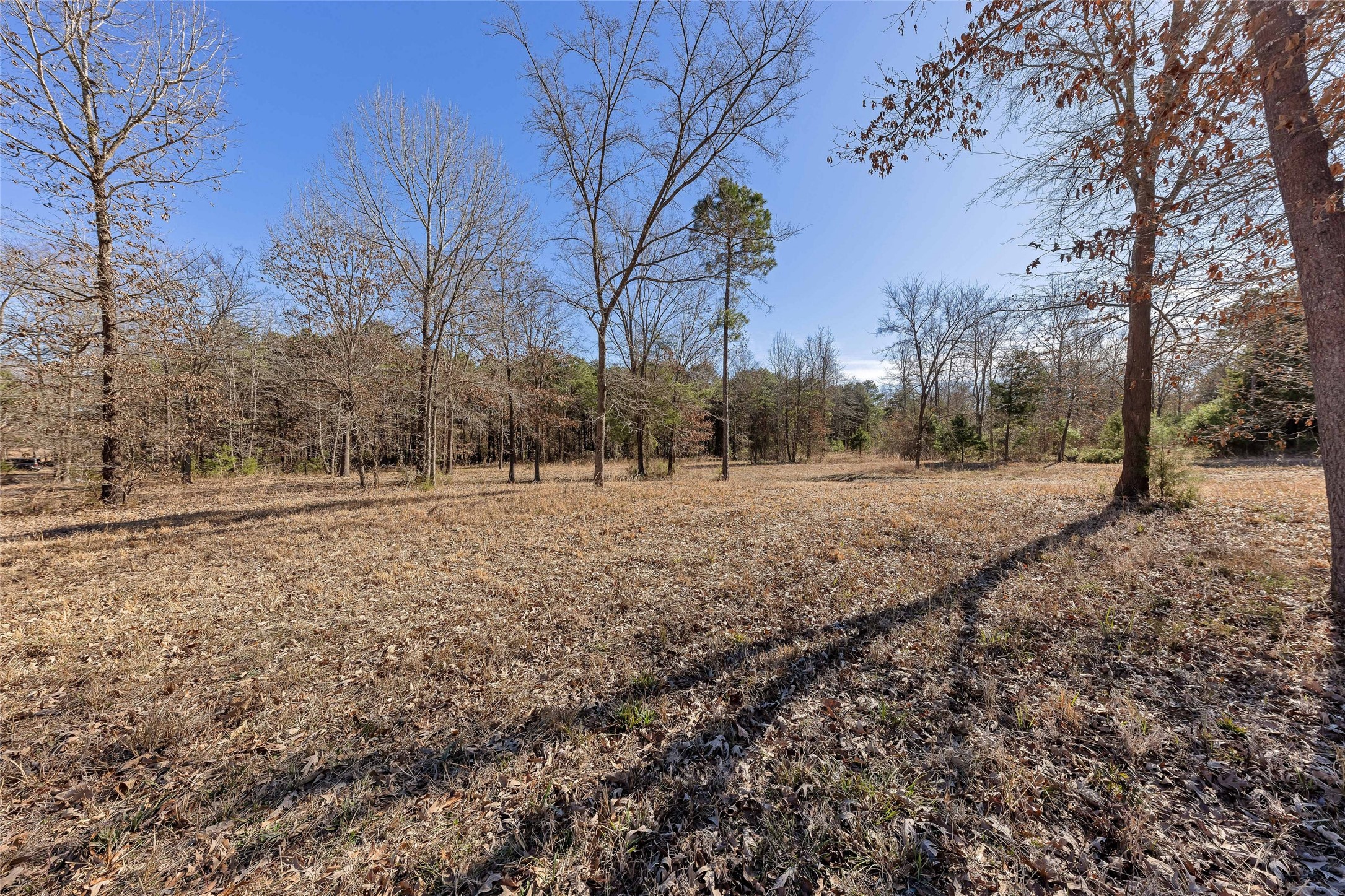 1884 SE County Road 4350 Scroggins TX 75480
