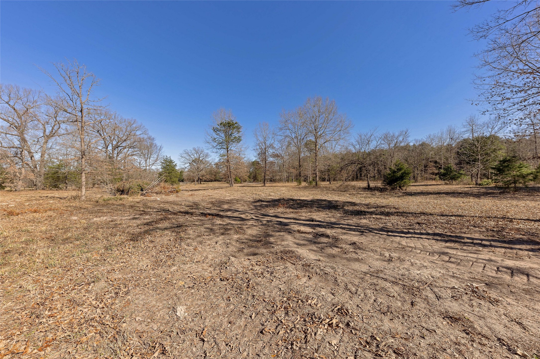 1884 SE County Road 4350 Scroggins TX 75480