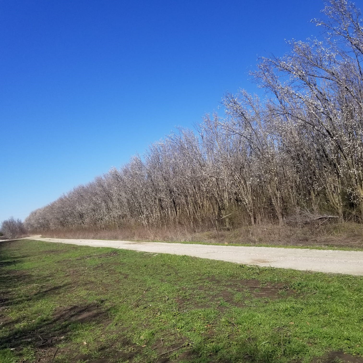 Tbd Fm 697 Sherman TX 75090