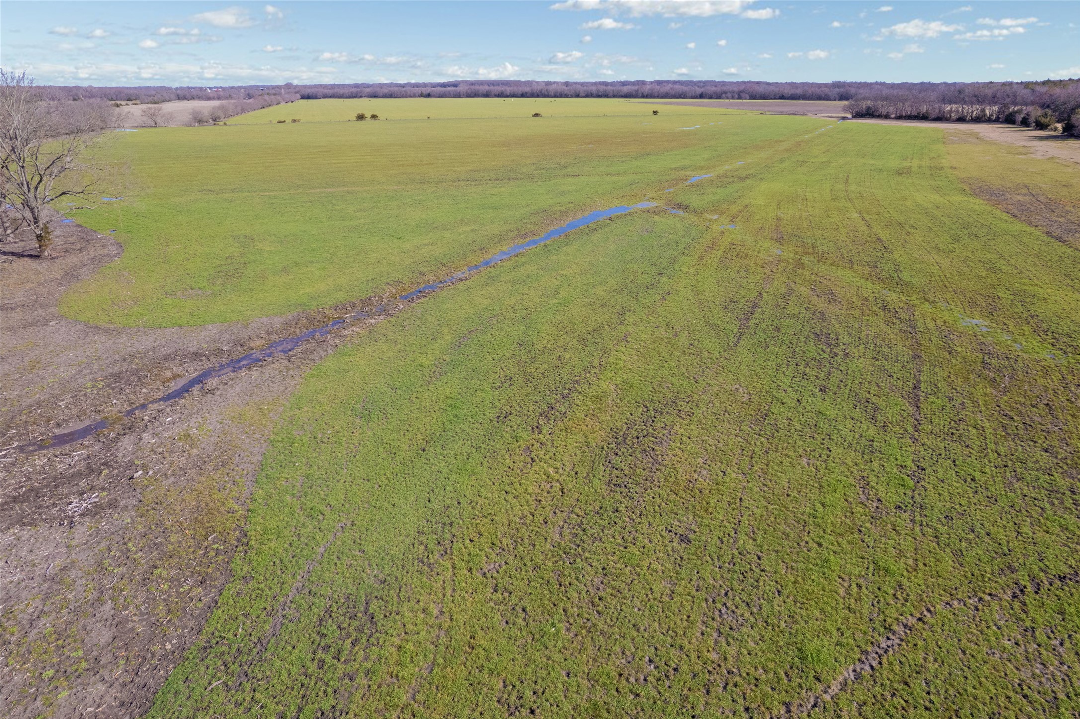 001 County Road 4525 Trenton TX 75490