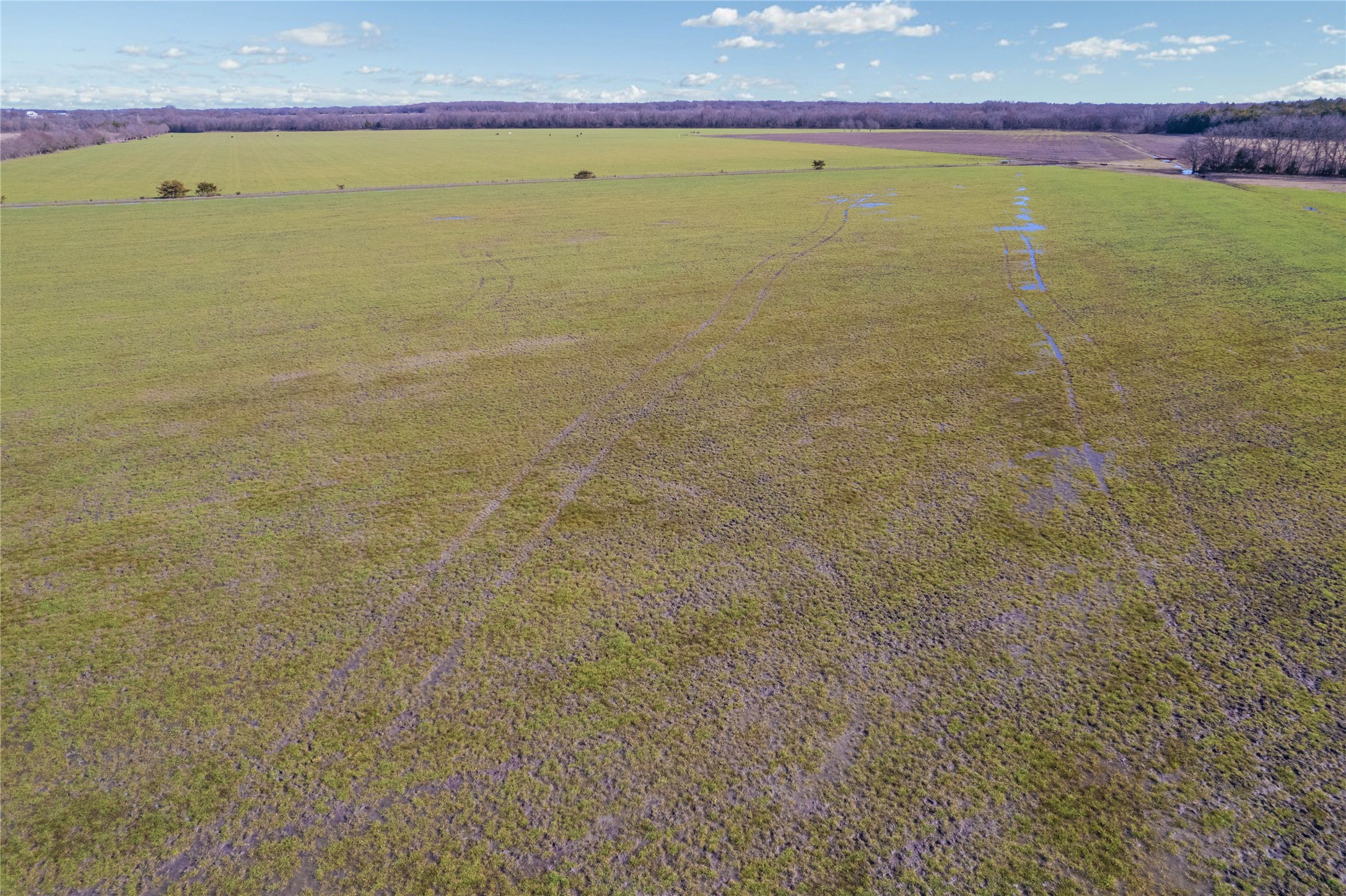 001 County Road 4525 Trenton TX 75490