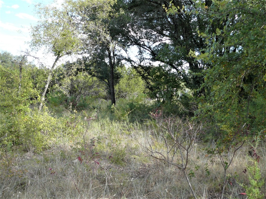 3203 Crystal Court Granbury TX 76048