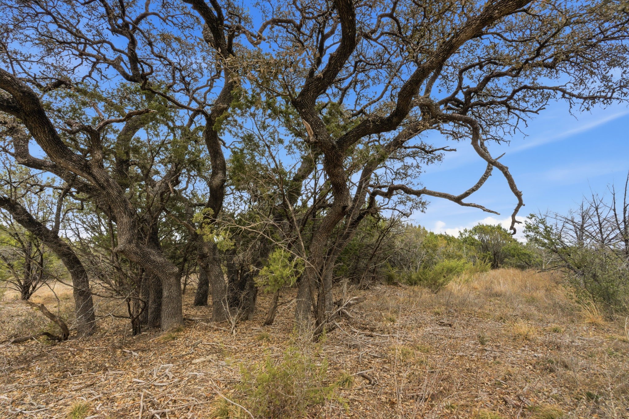 Lot 11 Mesa Vista Drive Stephenville TX 76401
