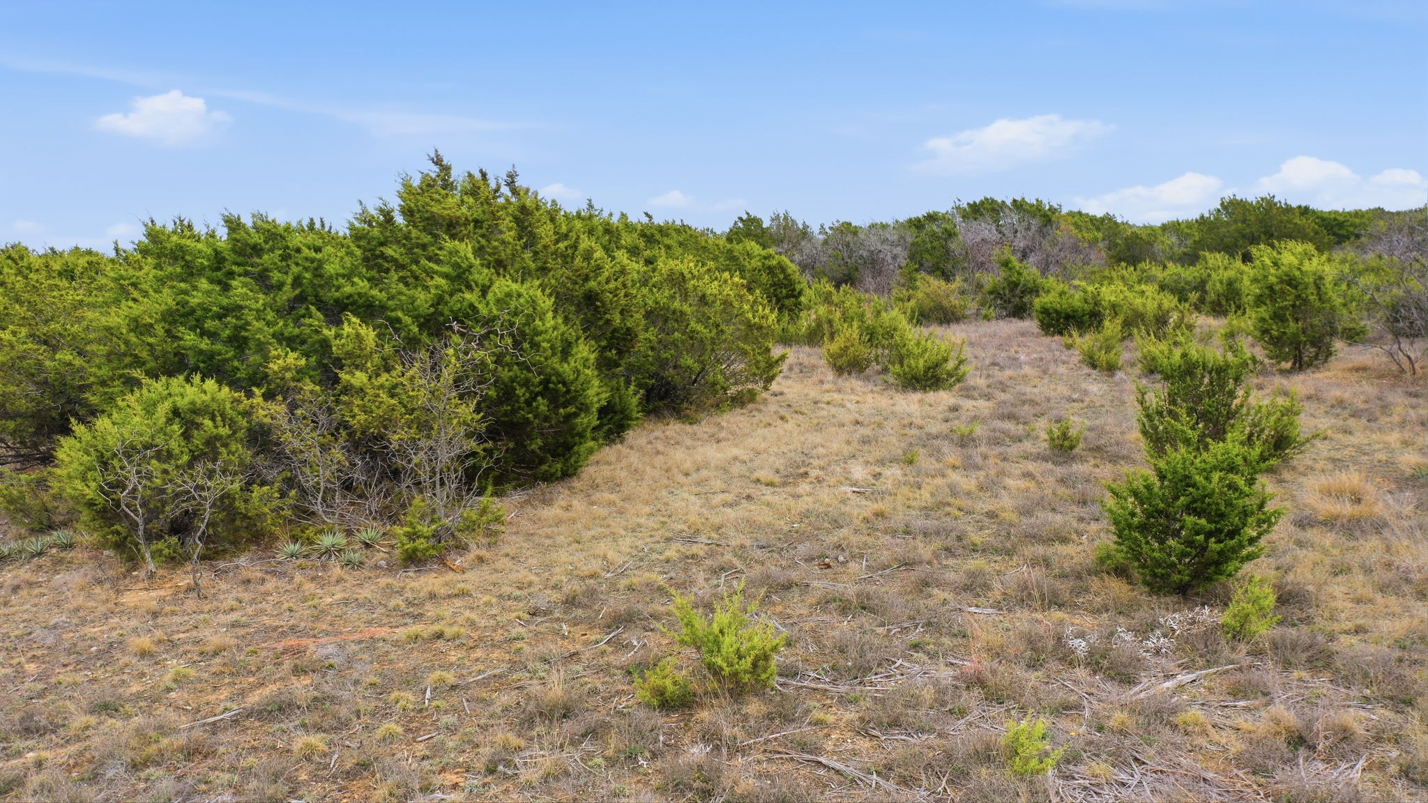 Lot 11 Mesa Vista Drive Stephenville TX 76401