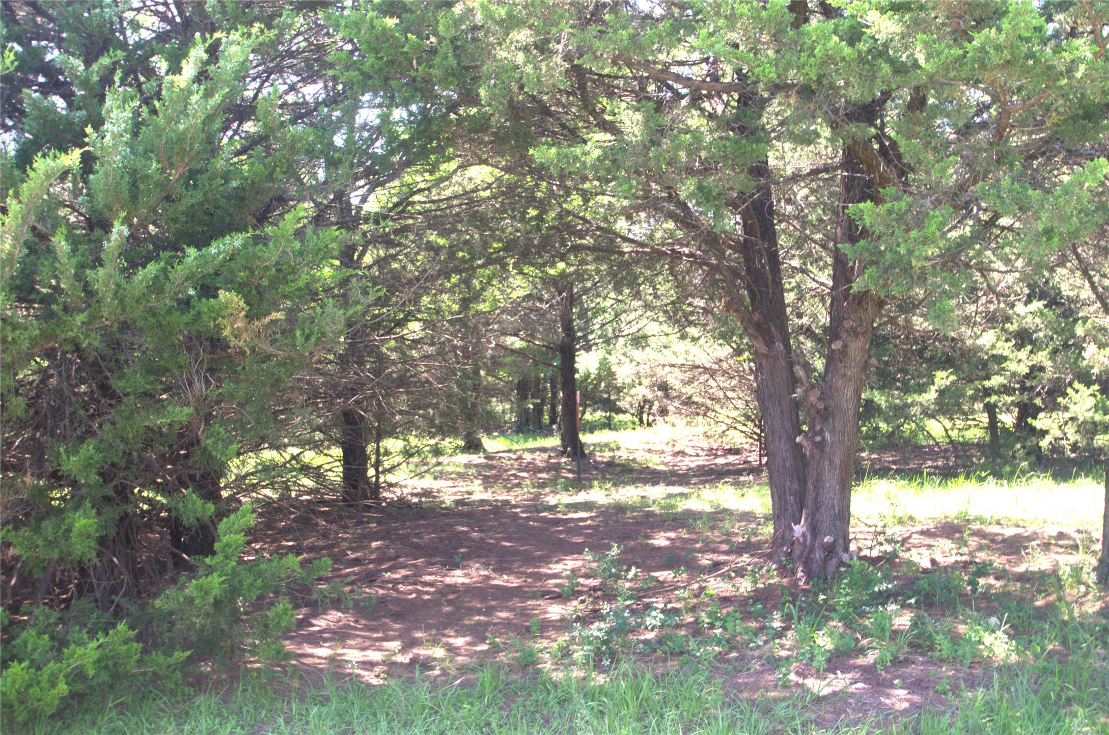 21.543 Acres W Fm 120 Highway Pottsboro TX 75076