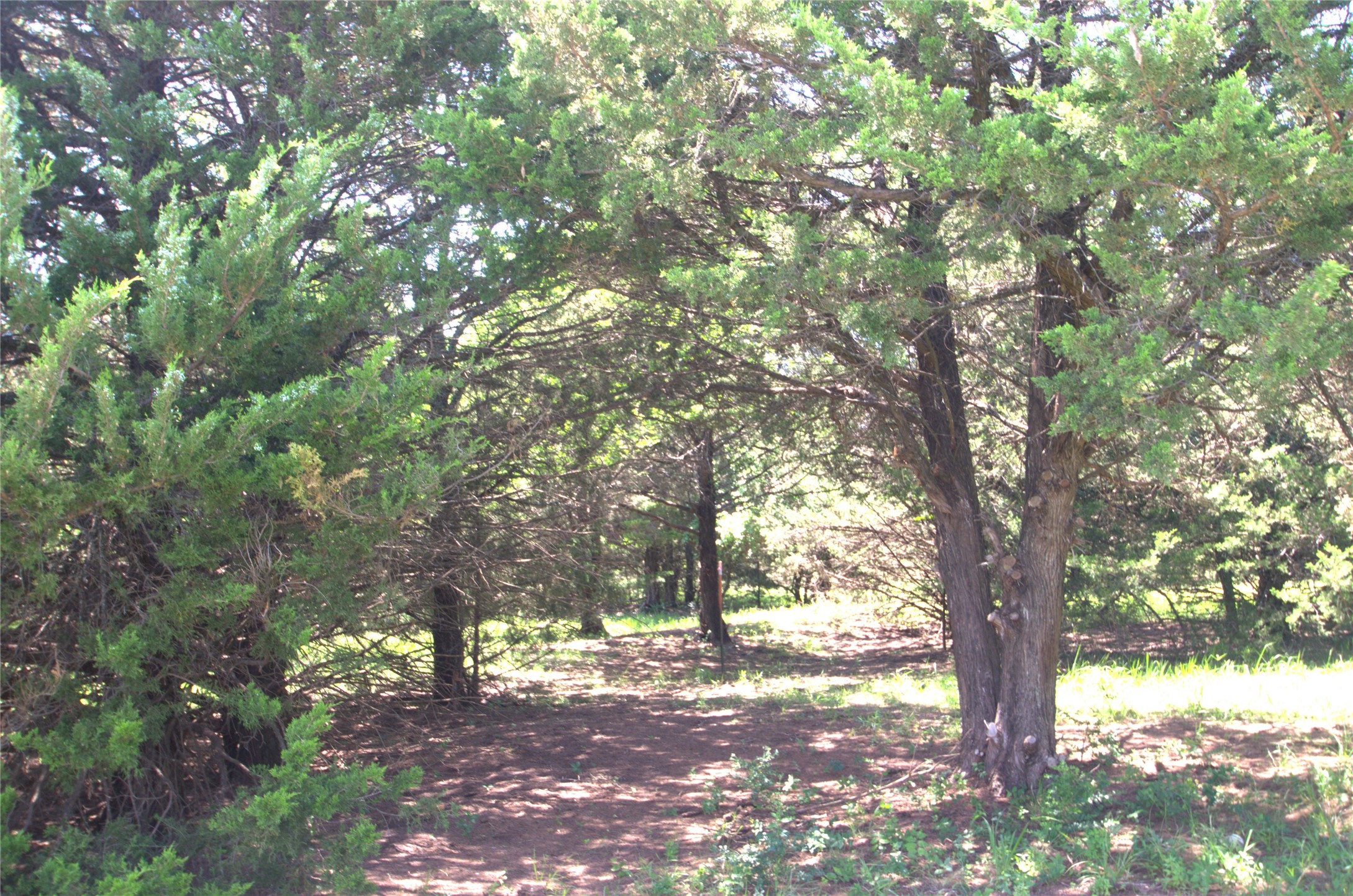 21.543 Acres W Fm 120 Highway Pottsboro TX 75076