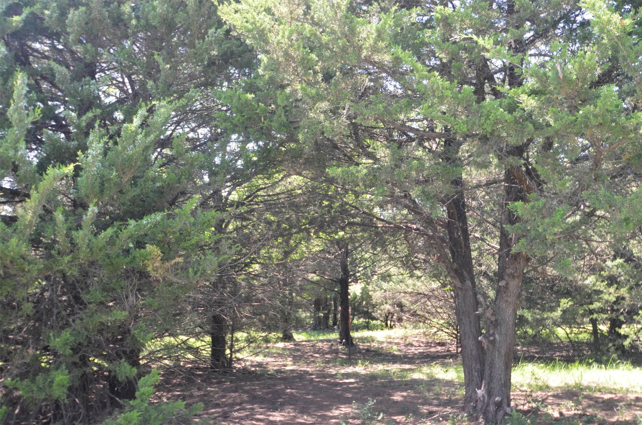 21.543 Acres W Fm 120 Highway Pottsboro TX 75076