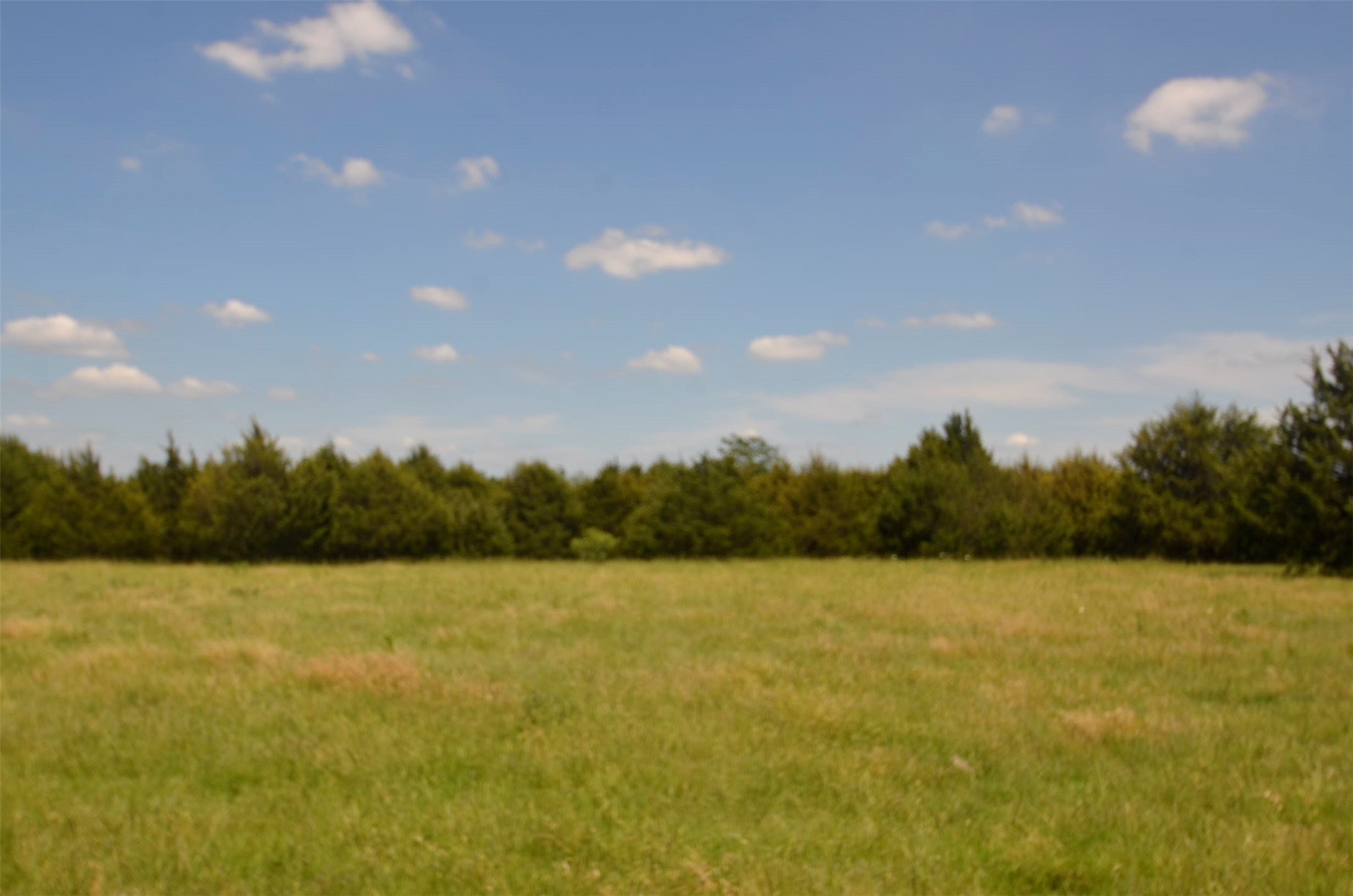 21.543 Acres W Fm 120 Highway Pottsboro TX 75076