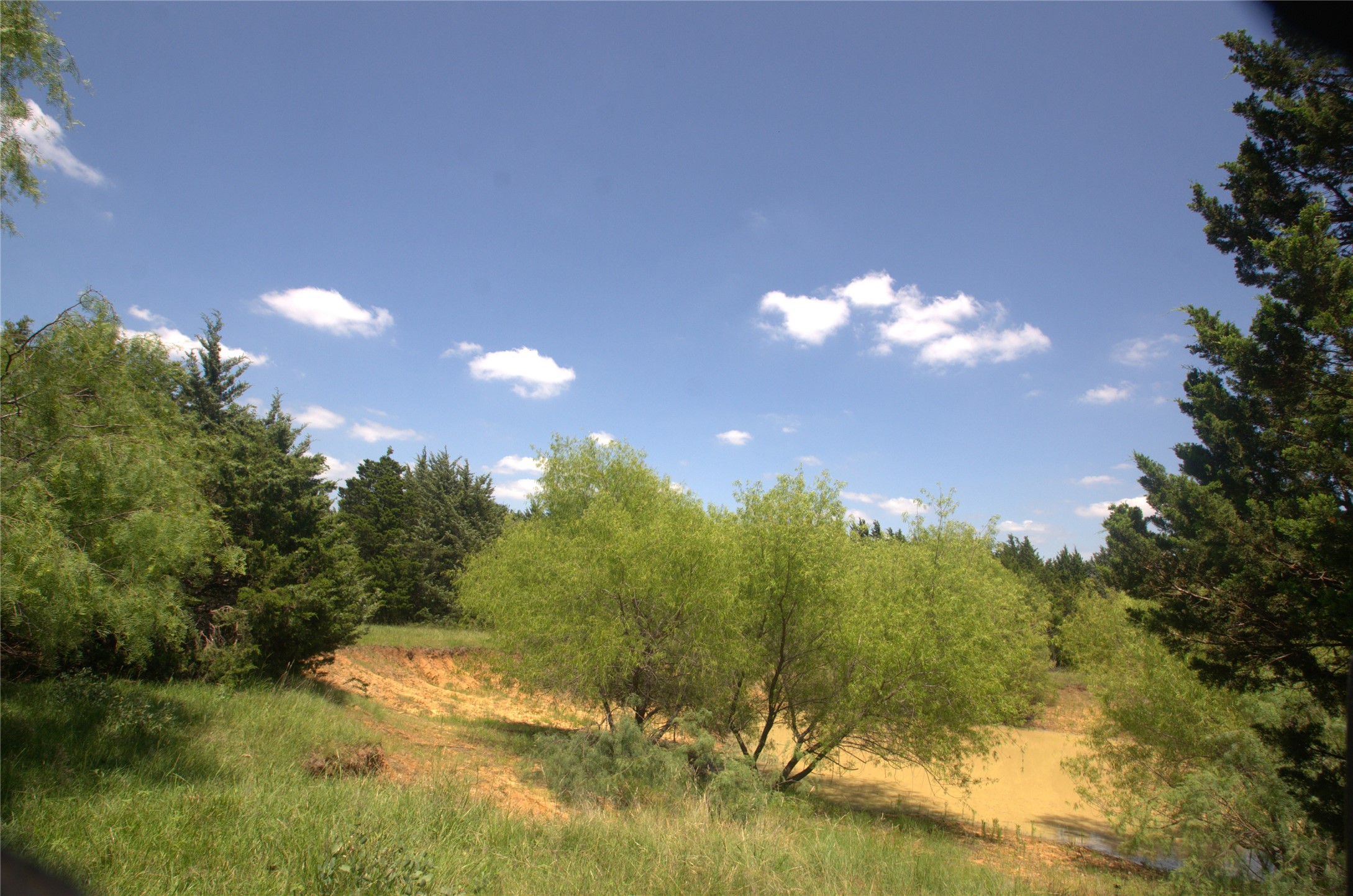 21.543 Acres W Fm 120 Highway Pottsboro TX 75076