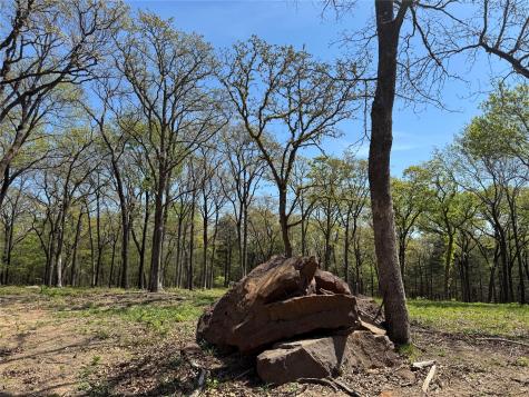 Lot 13 Buck Trail Road Pottsboro TX 75076