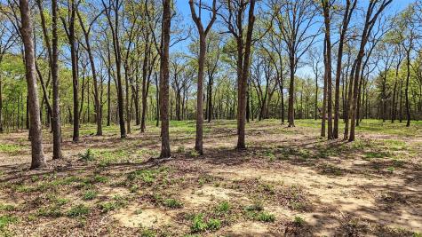 Lot 13 Buck Trail Road Pottsboro TX 75076