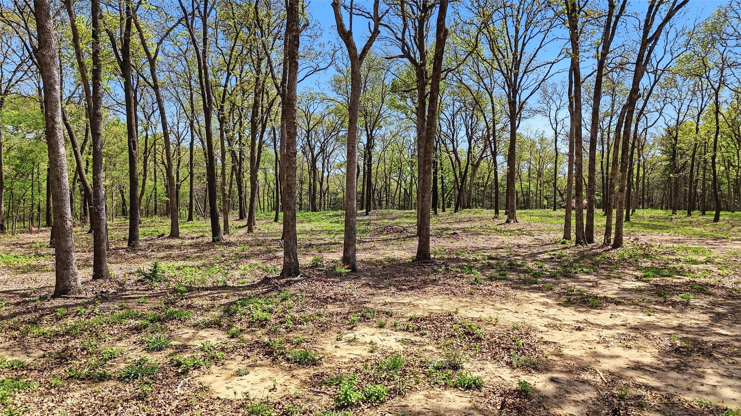 Lot 13 Buck Trail Road Pottsboro TX 75076
