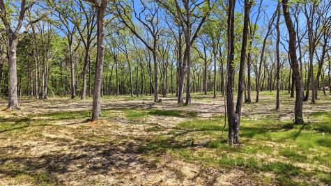 Lot 13 Buck Trail Road Pottsboro TX 75076
