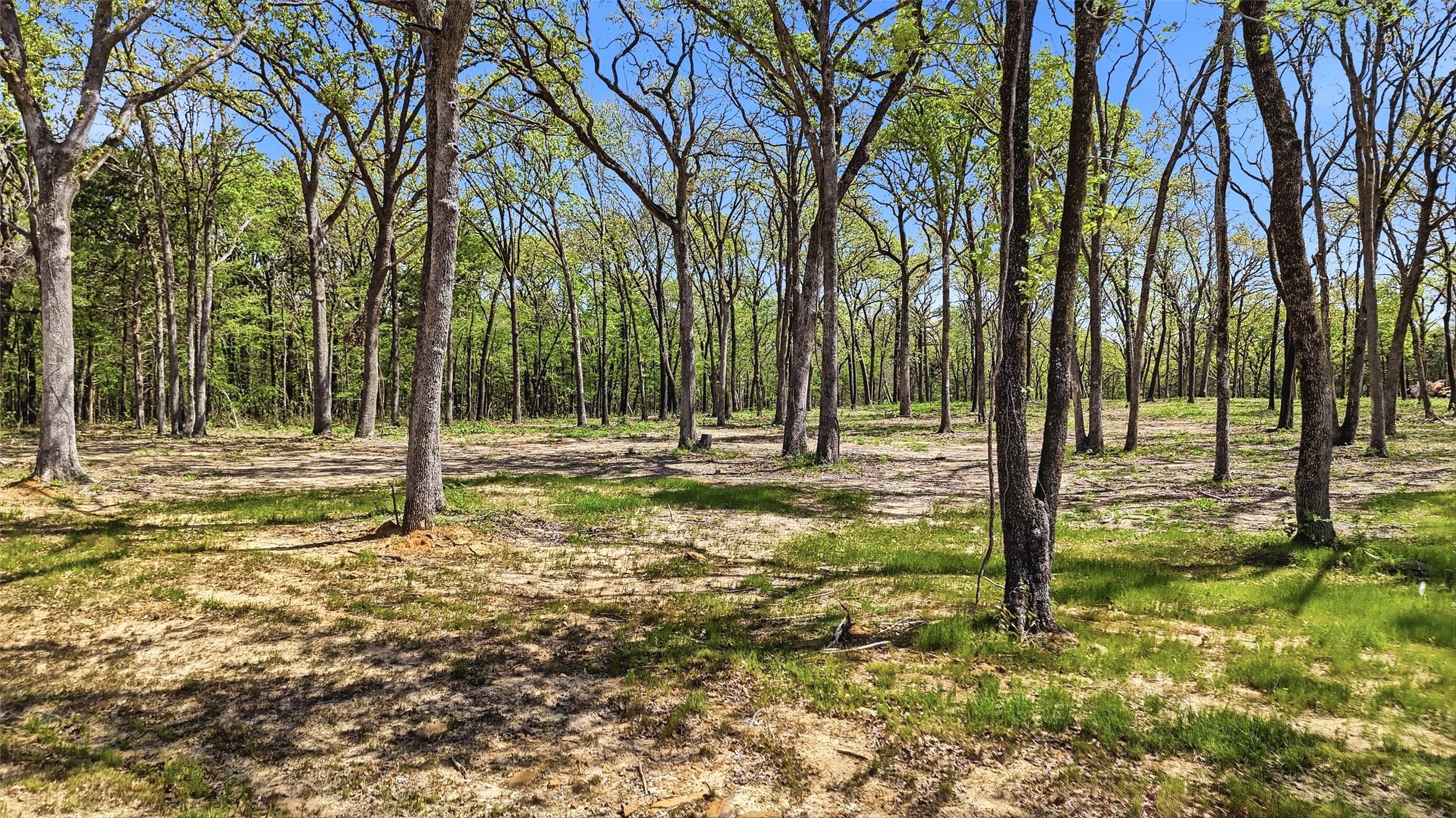 Lot 13 Buck Trail Road Pottsboro TX 75076