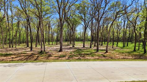 Lot 13 Buck Trail Road Pottsboro TX 75076