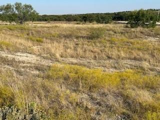 4049 Mirielle Drive Aledo TX 76008