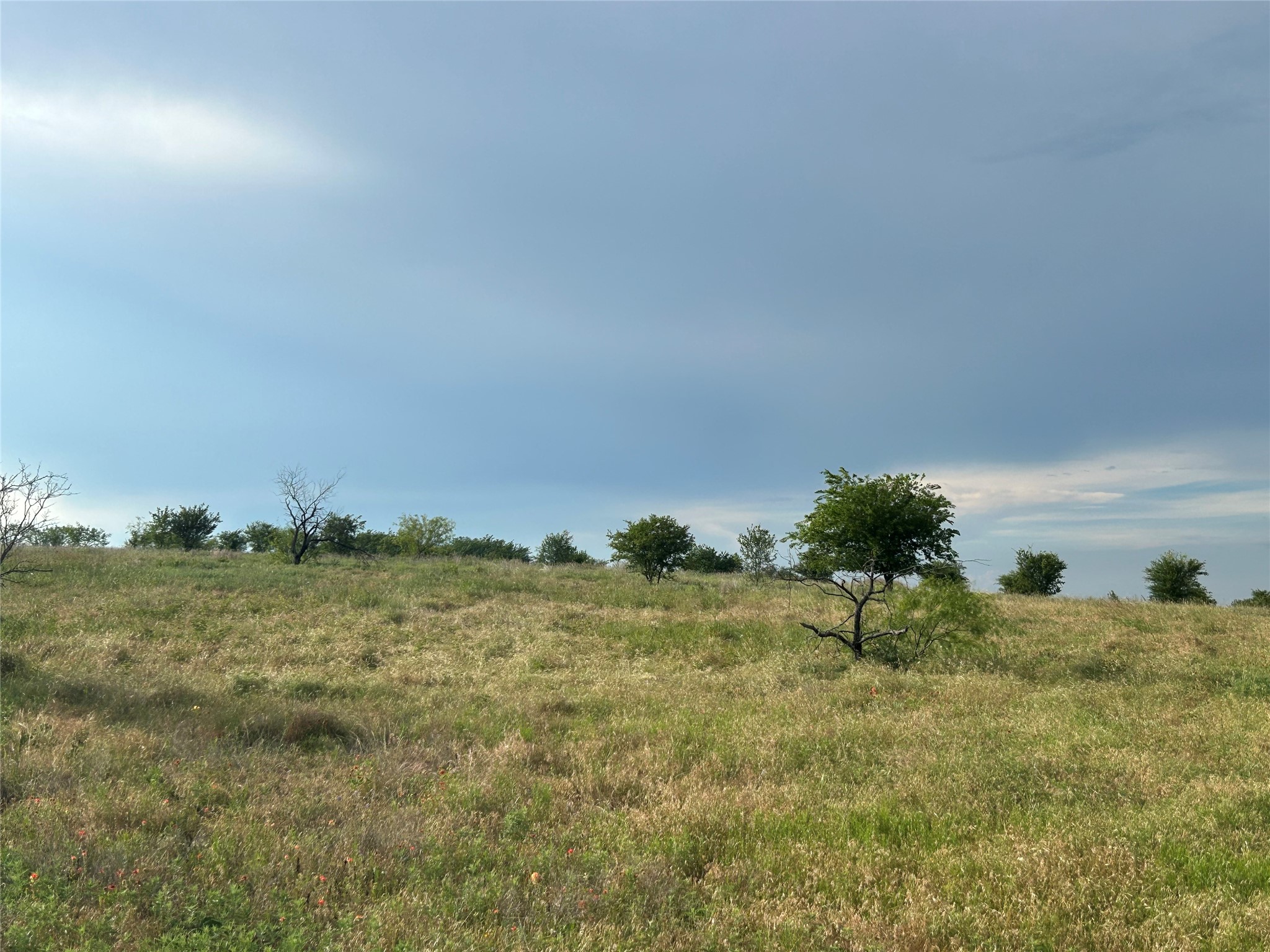 4049 Mirielle Drive Aledo TX 76008
