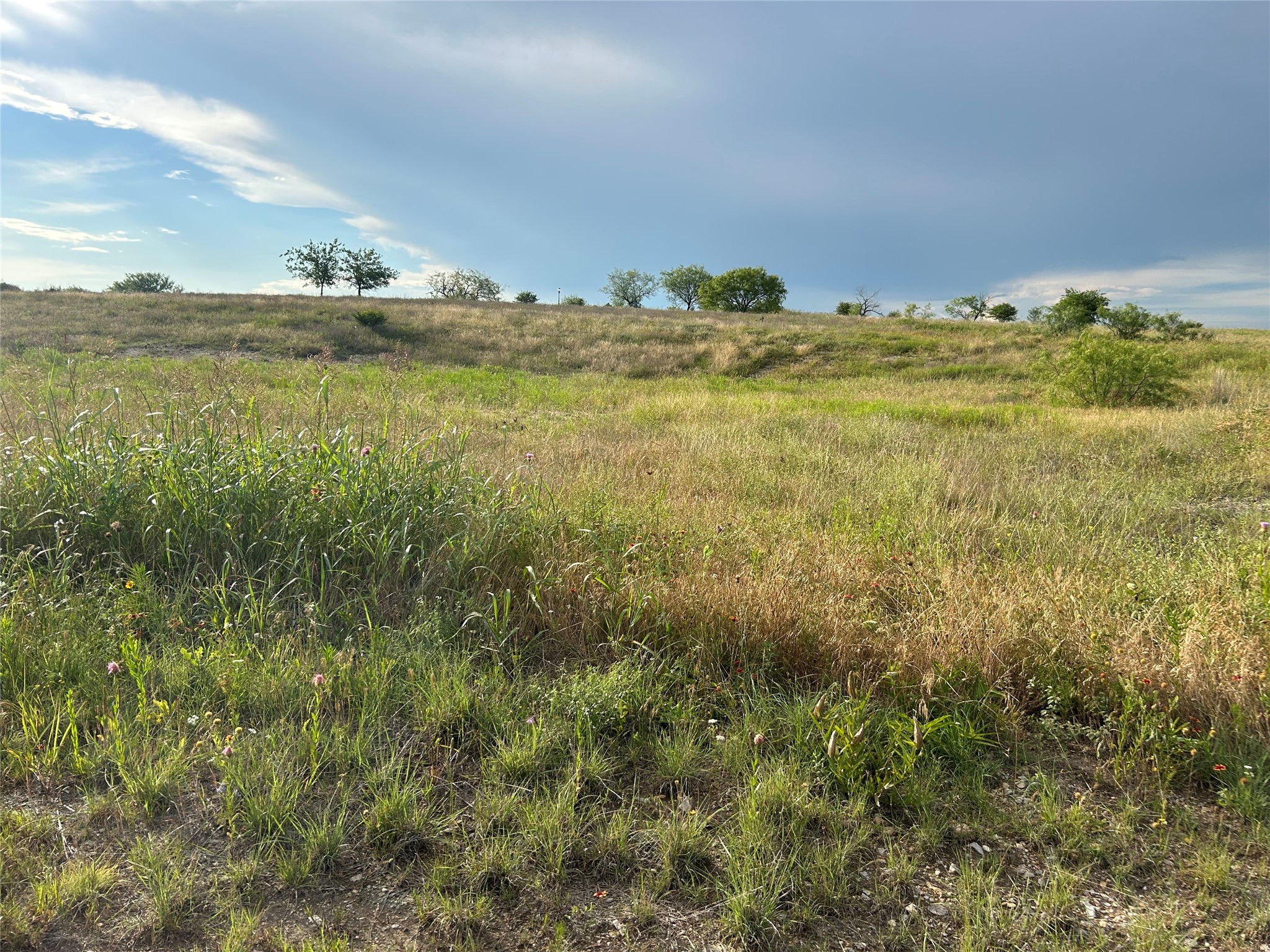 4049 Mirielle Drive Aledo TX 76008