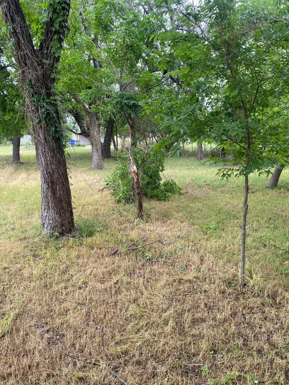 304 Walker Street Waco TX 76704